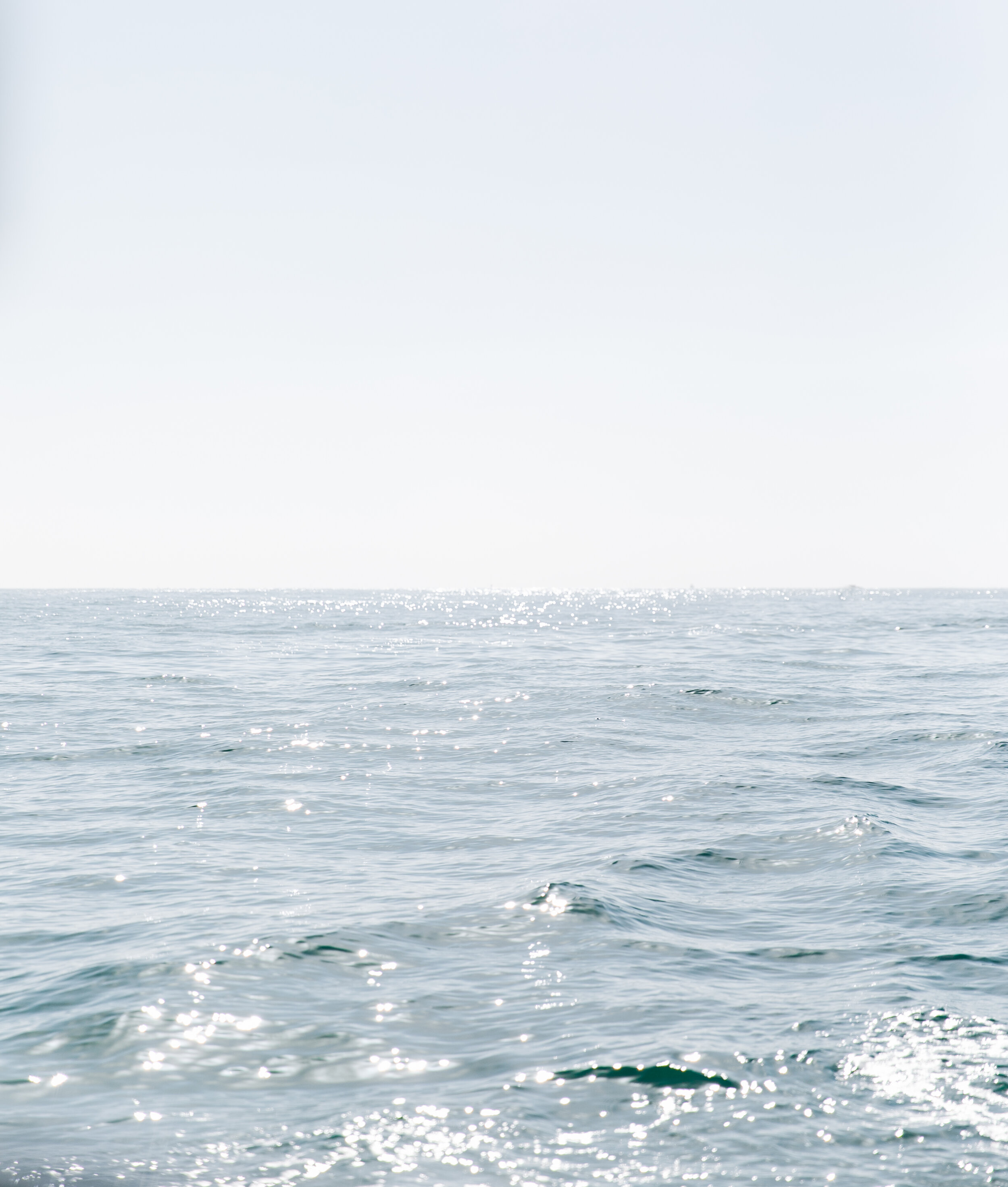 Commercial — Riley Starr Photography