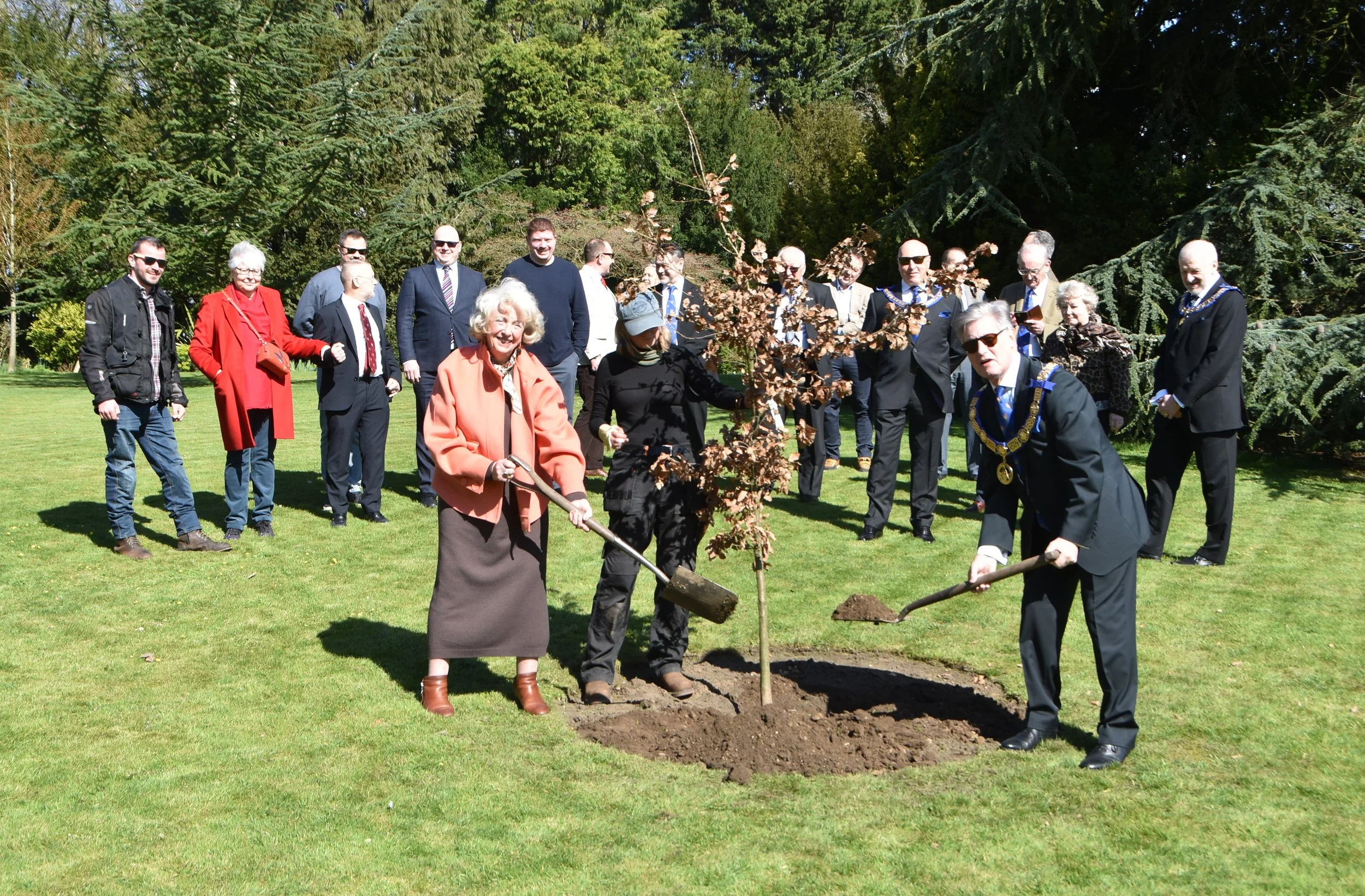 An oak tree being planted to celebrate 100 years of the Lascelles Lodge