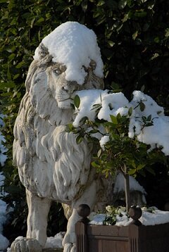 Snowy lion at Goldsborough Hall.jpg