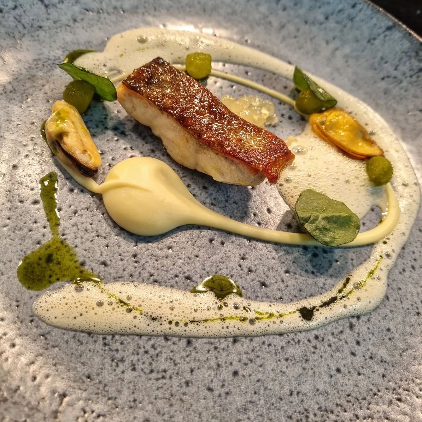 Ａｒｃｔｉｃ Ｃｈａｒ

Our current fish course, beautifully cooked and responsibly sourced.

Pan seared and served with celeriac from the kitchen garden. Chef has finished the dish with Granny Smith apple infused with dill oil, smoked mussels and yuzu pearls. 
