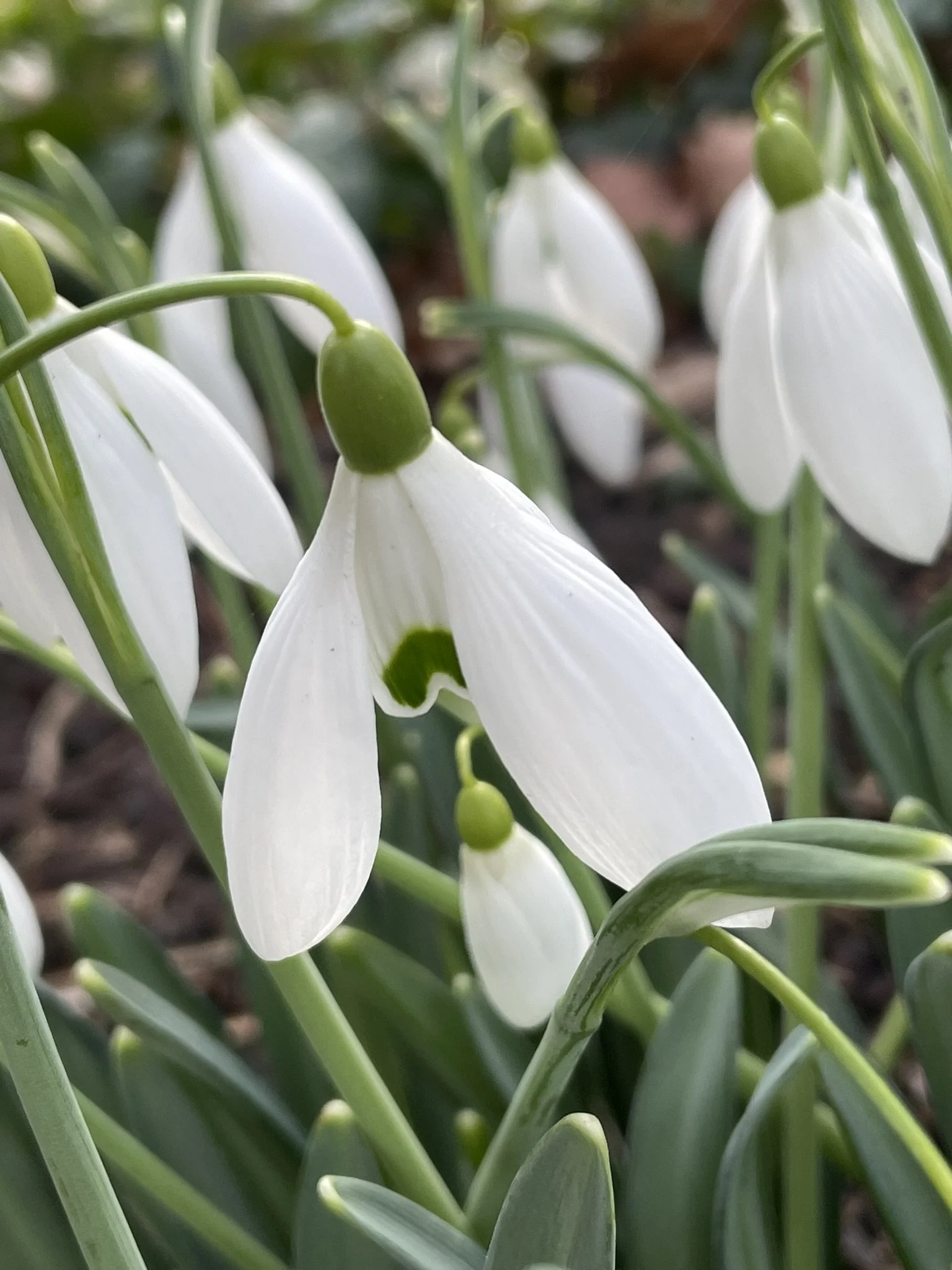 Bill Bishop 2024.jpeg