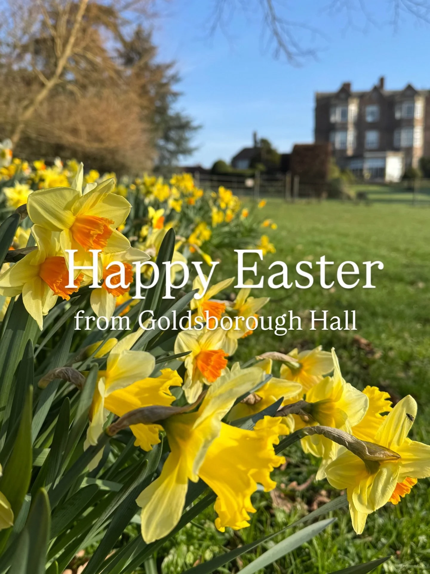 Wishing you a Happy Easter