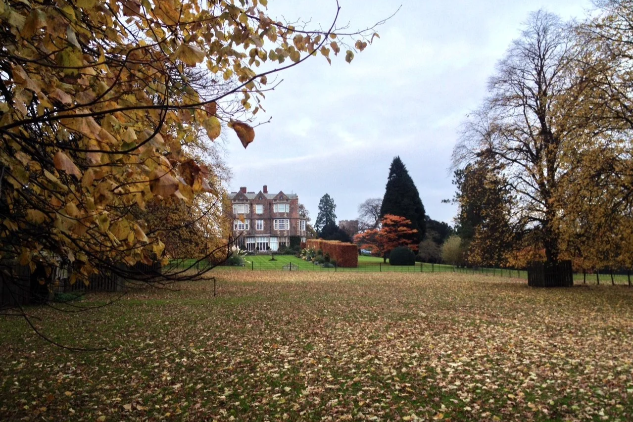 Autumn leaves and trees with Goldsborough Hall in the background