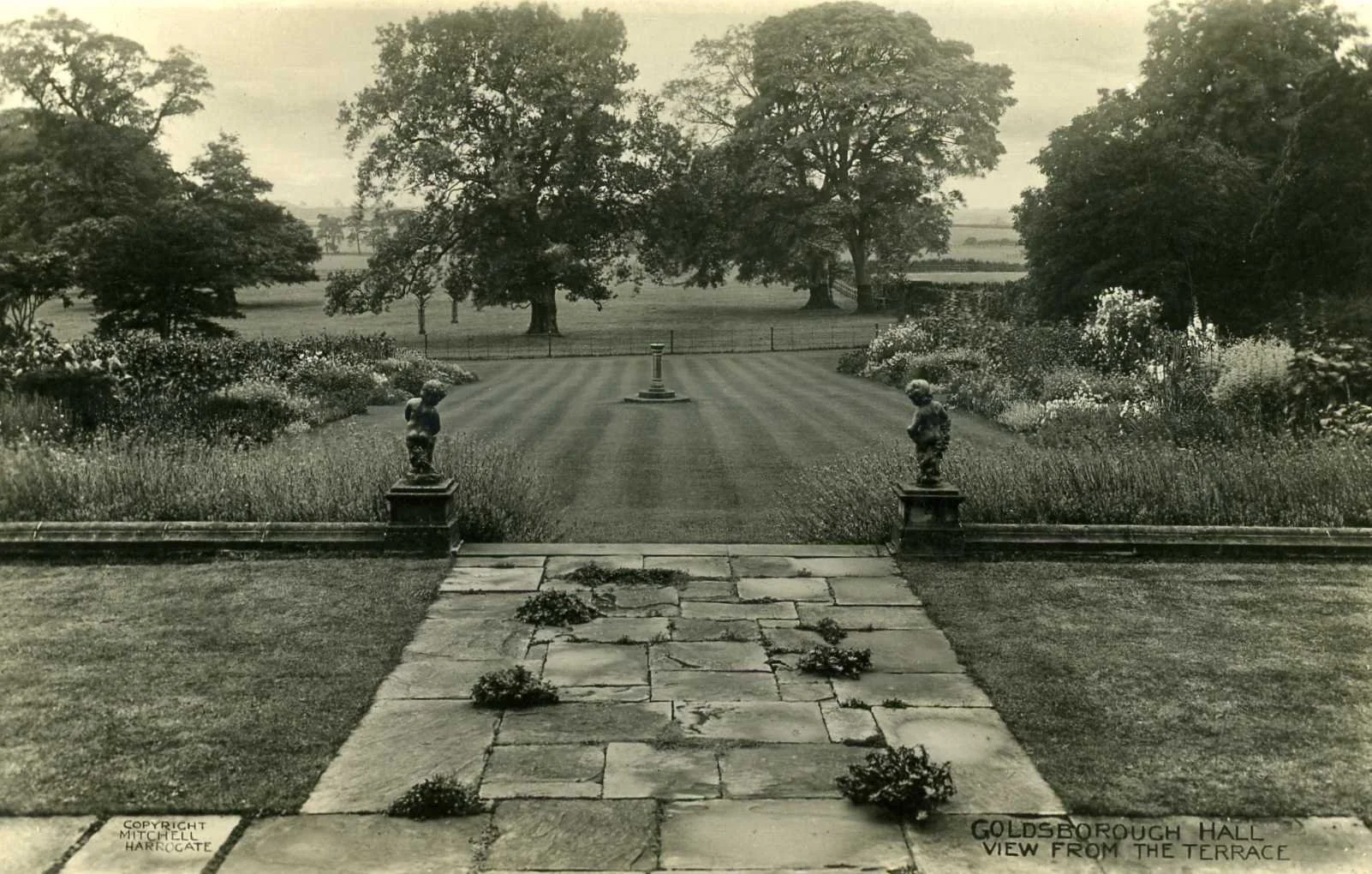 Black and white image of gardens with two herbaceous borders and trees in the background
