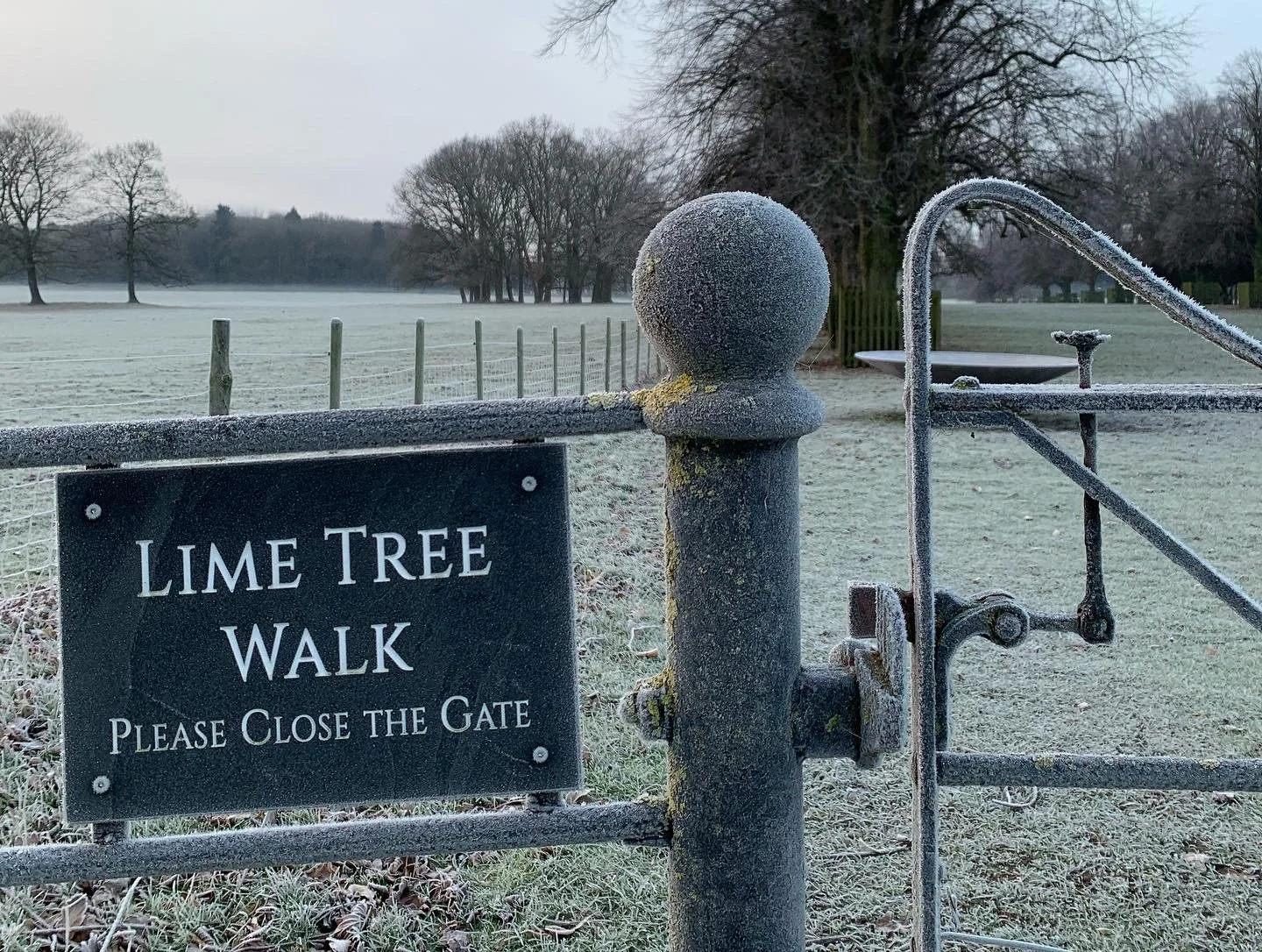 Sign which says Lime Tree Walk on a frosty morning at Goldsborough Hall in Yorkshire