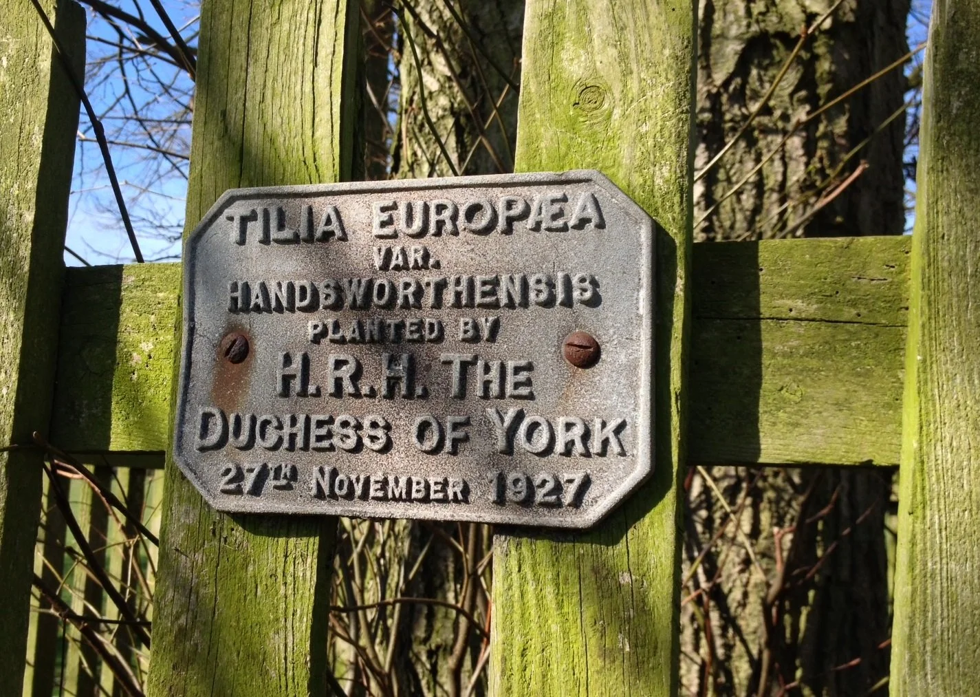Plaque showing The Duchess of York planted a tree at Goldsborough Hall on 27th November 1927