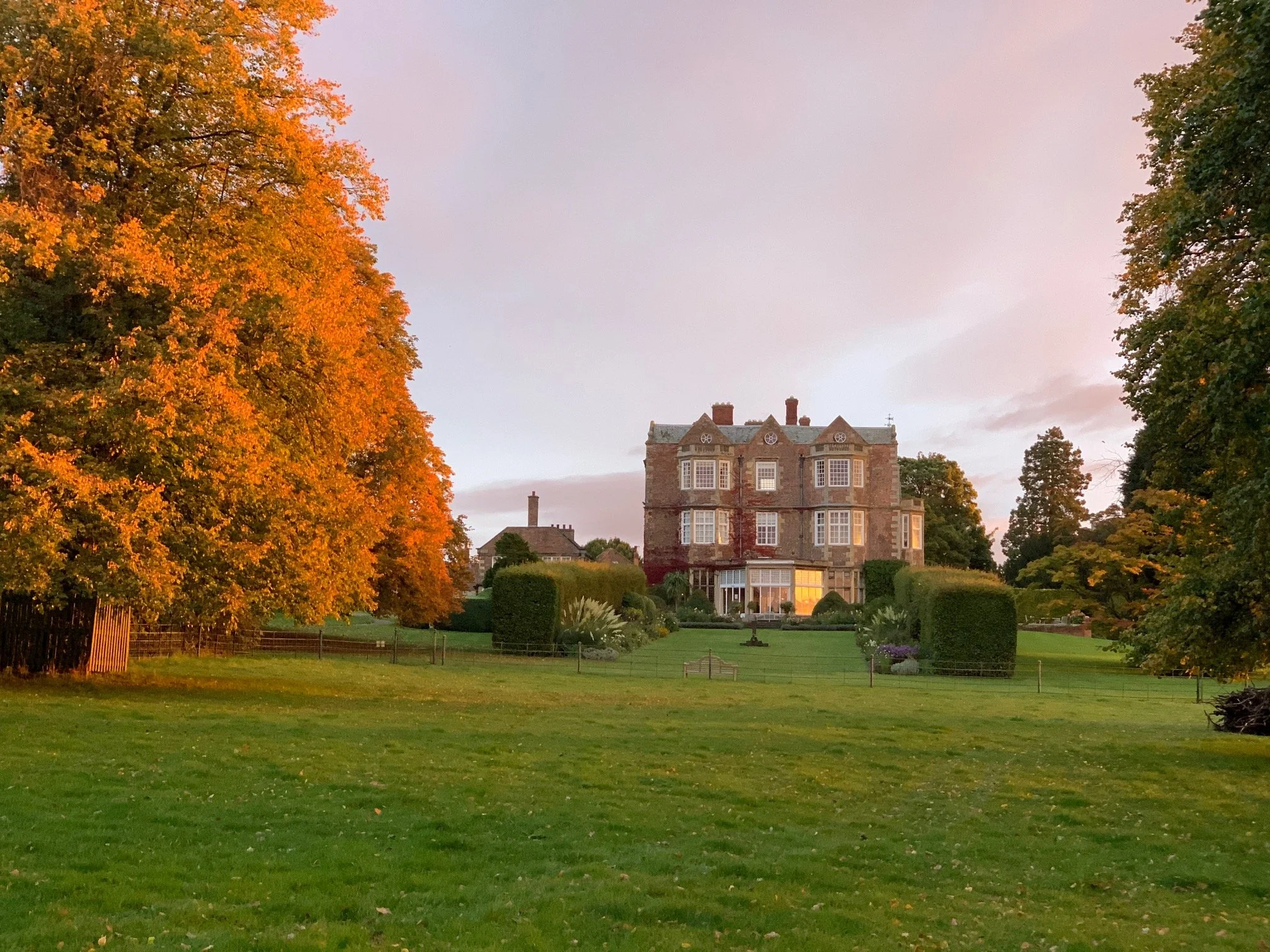 Golden glow of the sun on the trees in autumn with Goldsborough Hall in the background