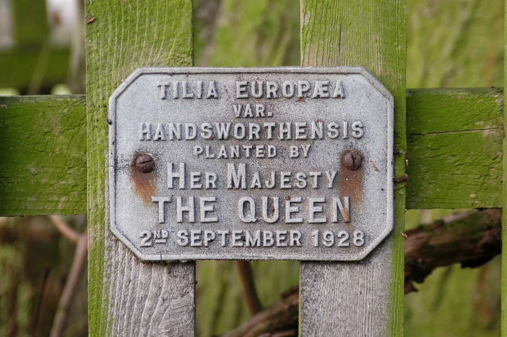 Plaque showing The Queen planted a tree at Goldsborough on 2nd Sept 1928