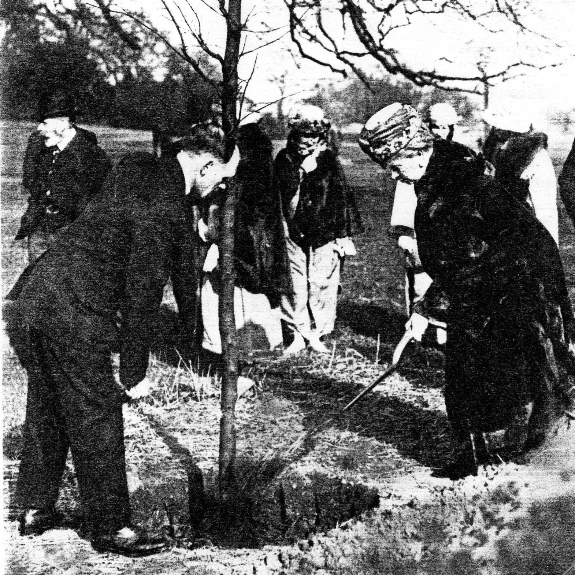Black and white image of Queen Mary planting a tree in the Lime Tree Walk at Yorkshire's Goldsborough Hall