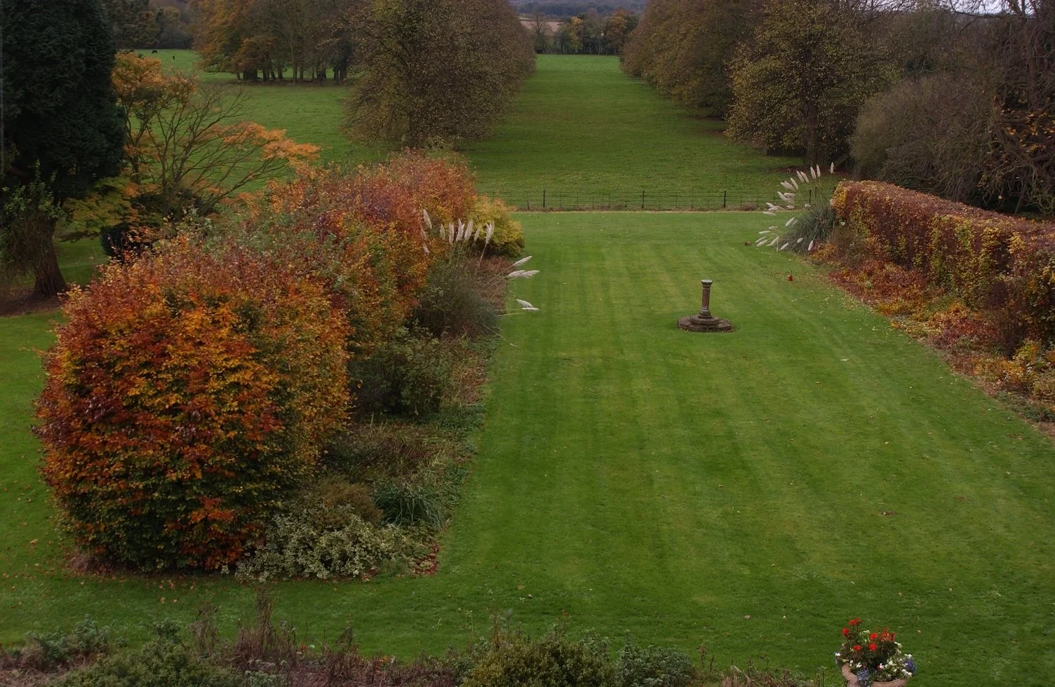 View of a derelict garden at Goldsborough Hall, pre restoration of an uncut beech hedge and lots of weeds
