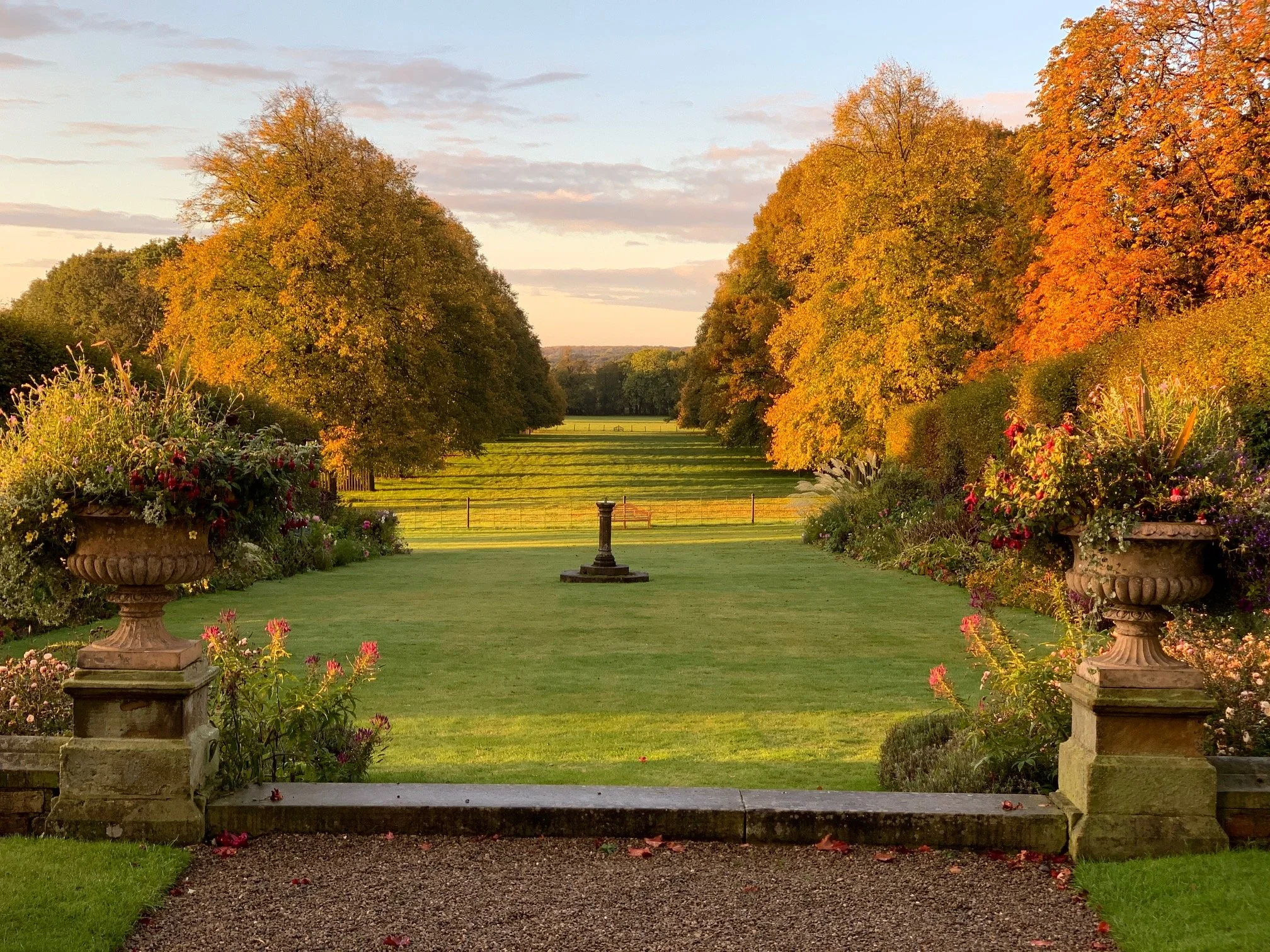 Golden glow of the sun on the trees in the Lime Tree Walk in autumn at Goldsborough Hall