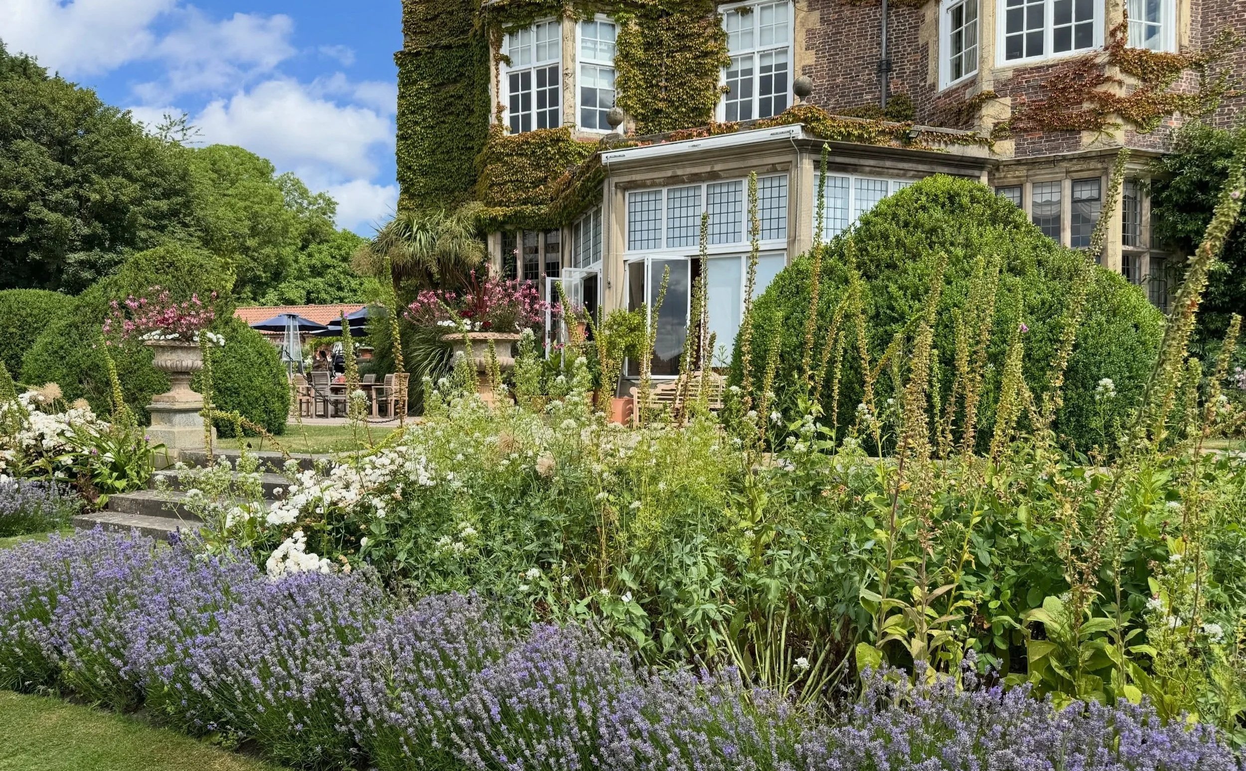 View of Goldsborough Hall, a stately home near Harrogate, with a rose garden lined with lavender in the foreground