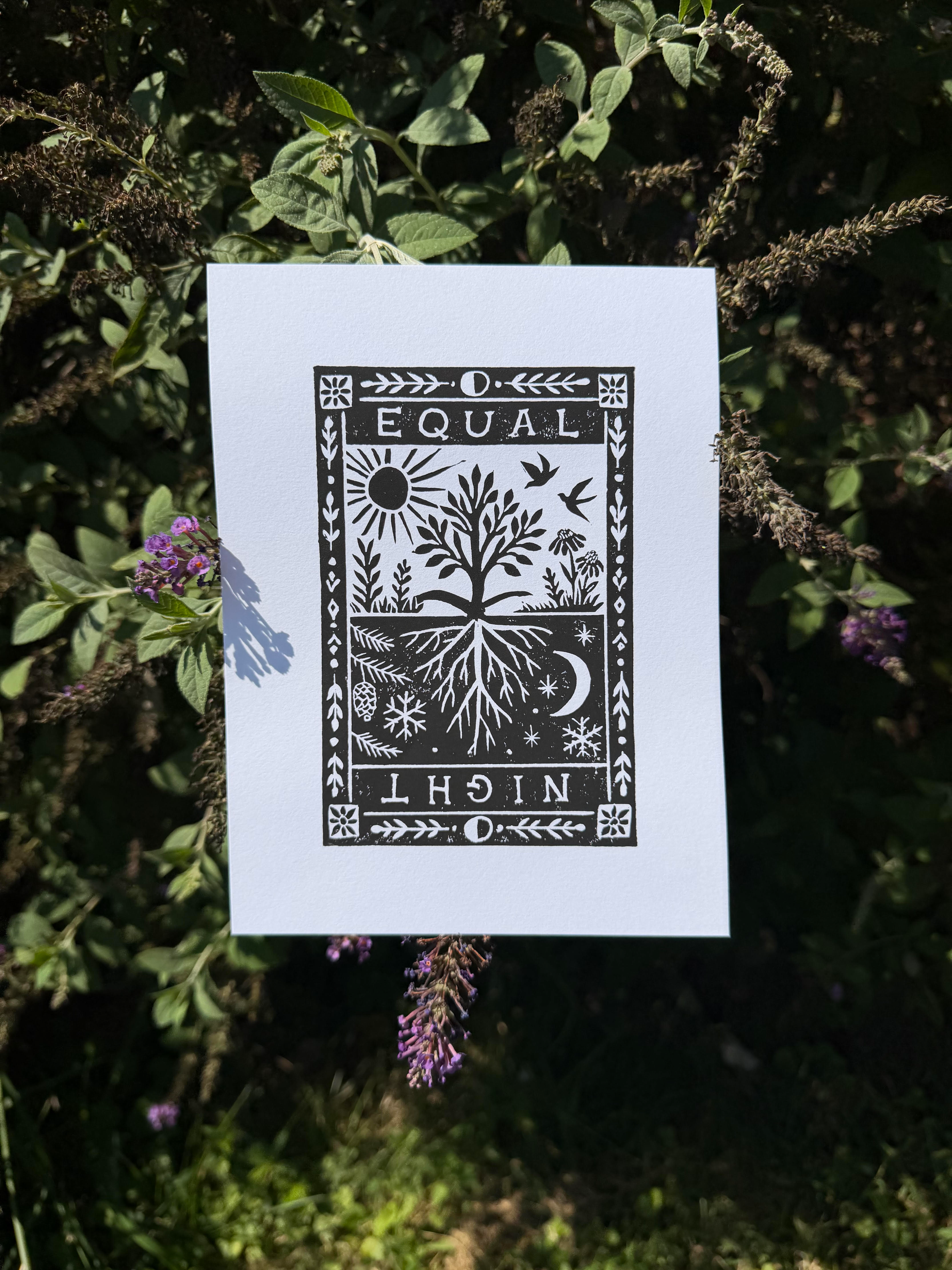 Equinox Lino