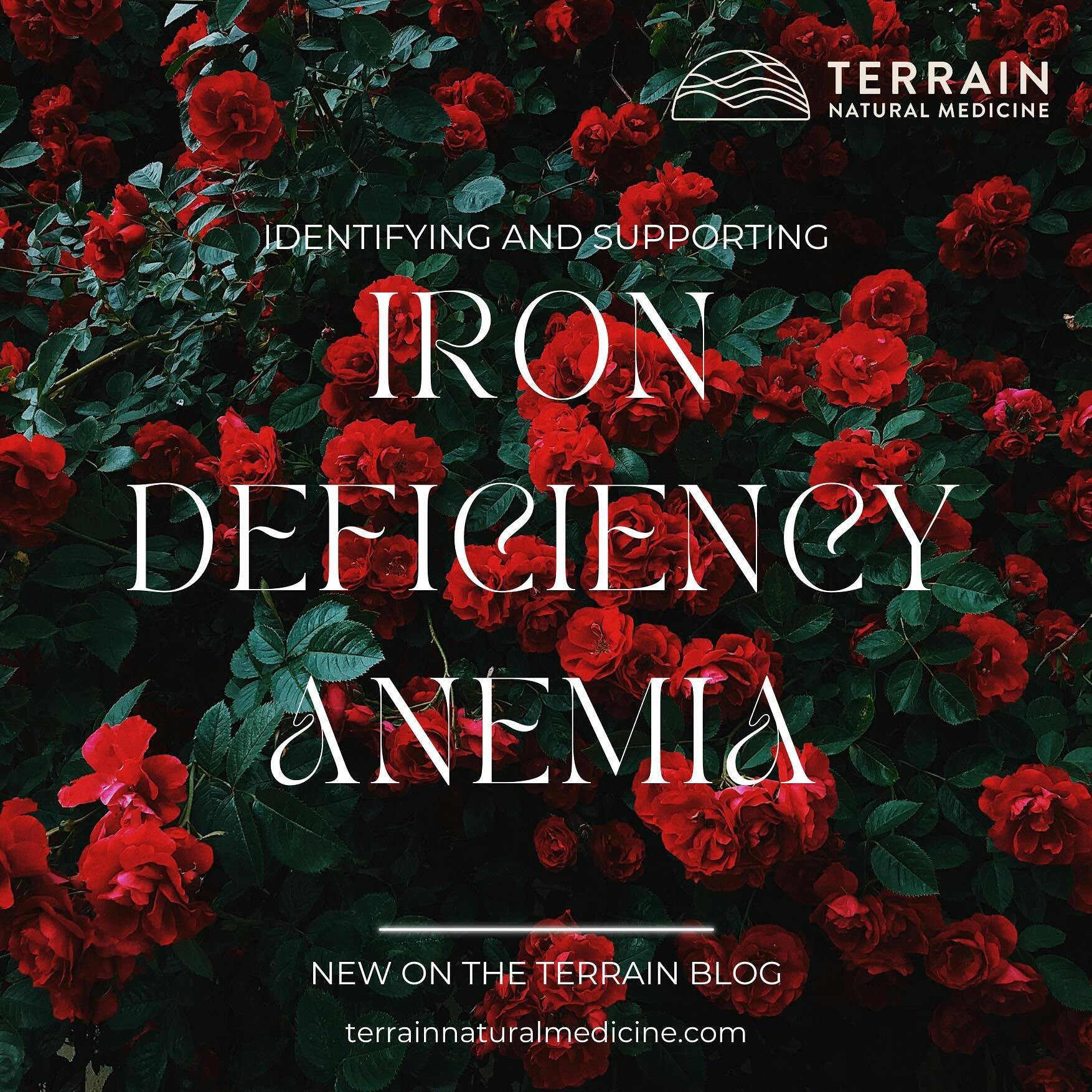 New on the Terrain Blog! 📣

Head on over to the blog (link in bio) to learn more about what iron deficiency anemia is, what causes it and how to support healthy iron levels in your body 🩸🌸

#irondeficiencyanemia #naturopathicdoctorbend #bendoregon