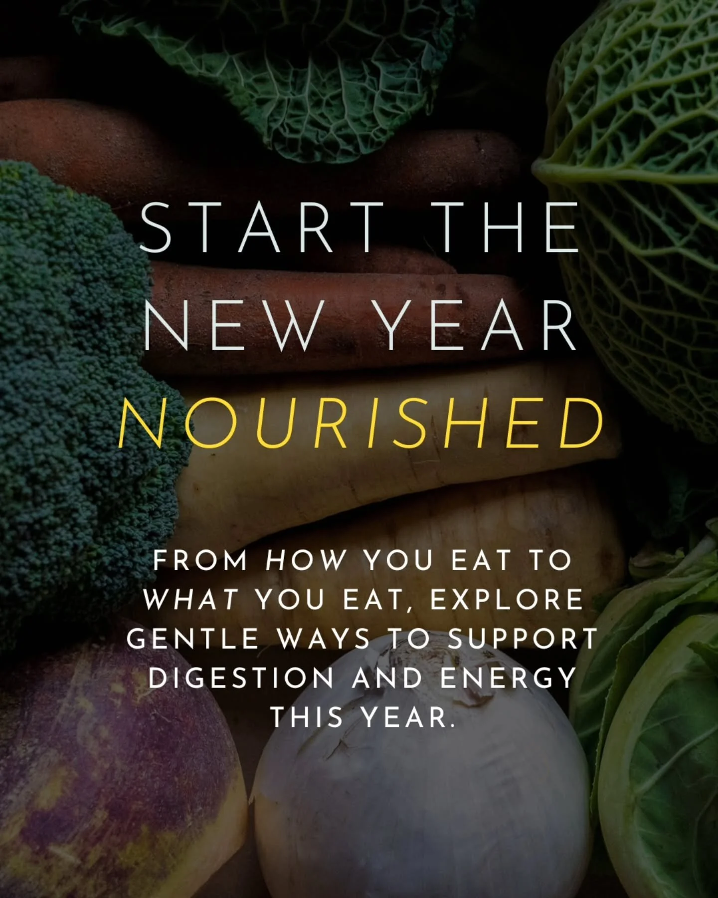 Start your year nourished ✨

From how you eat to what you eat, explore gentle ways to support digestion and energy this year.
In three of our blogs, we dive into the importance of eating breakfast, how to optimize digestion, and should you go gluten 