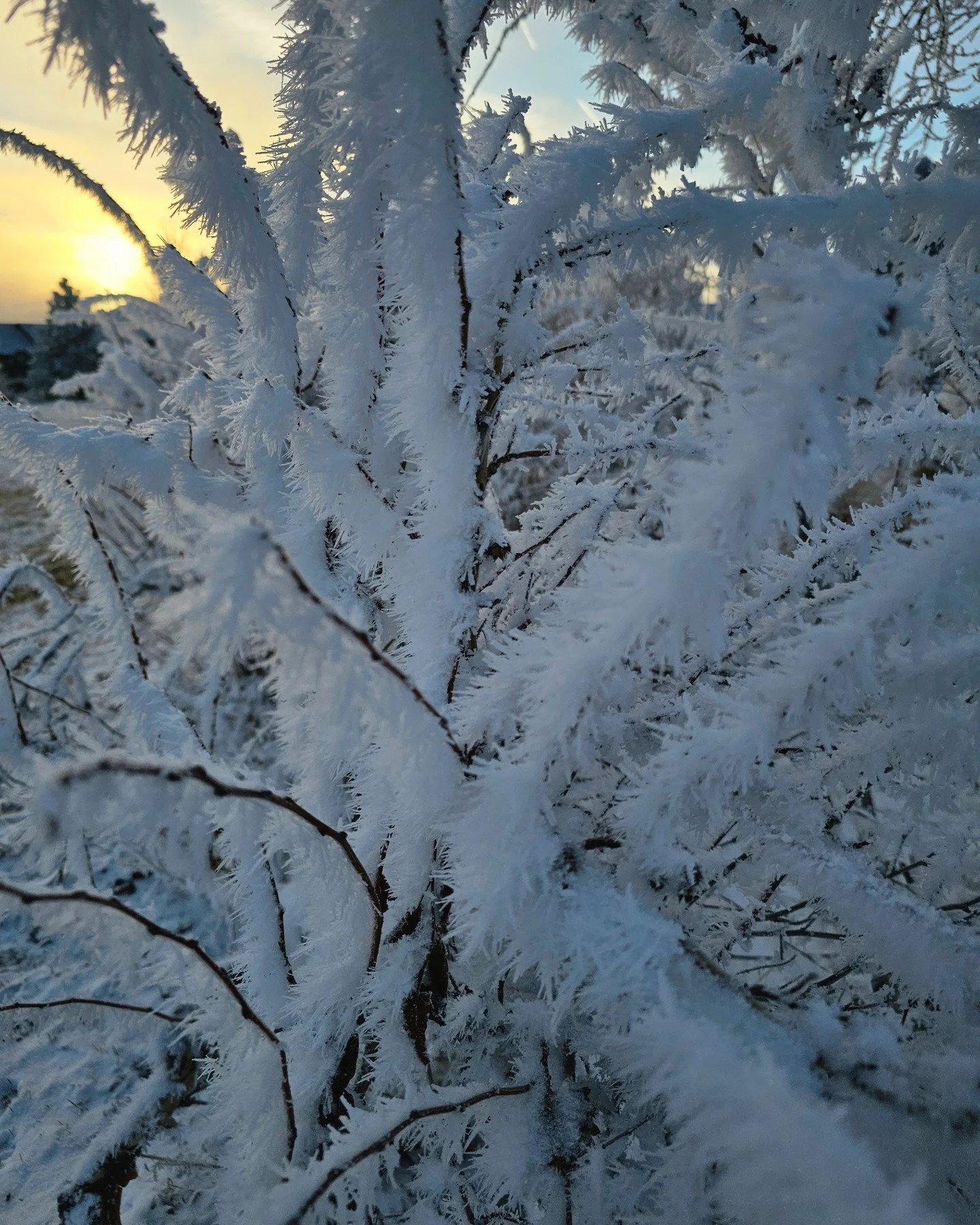 Anyone else feeling off this week?
We&rsquo;ve had an inversion lately &mdash; basically no sun and heavy, stuck air &mdash; and it can really affect how you feel.

Low energy, brain fog, headaches, stuffy sinuses, poor sleep, even a blah mood are al