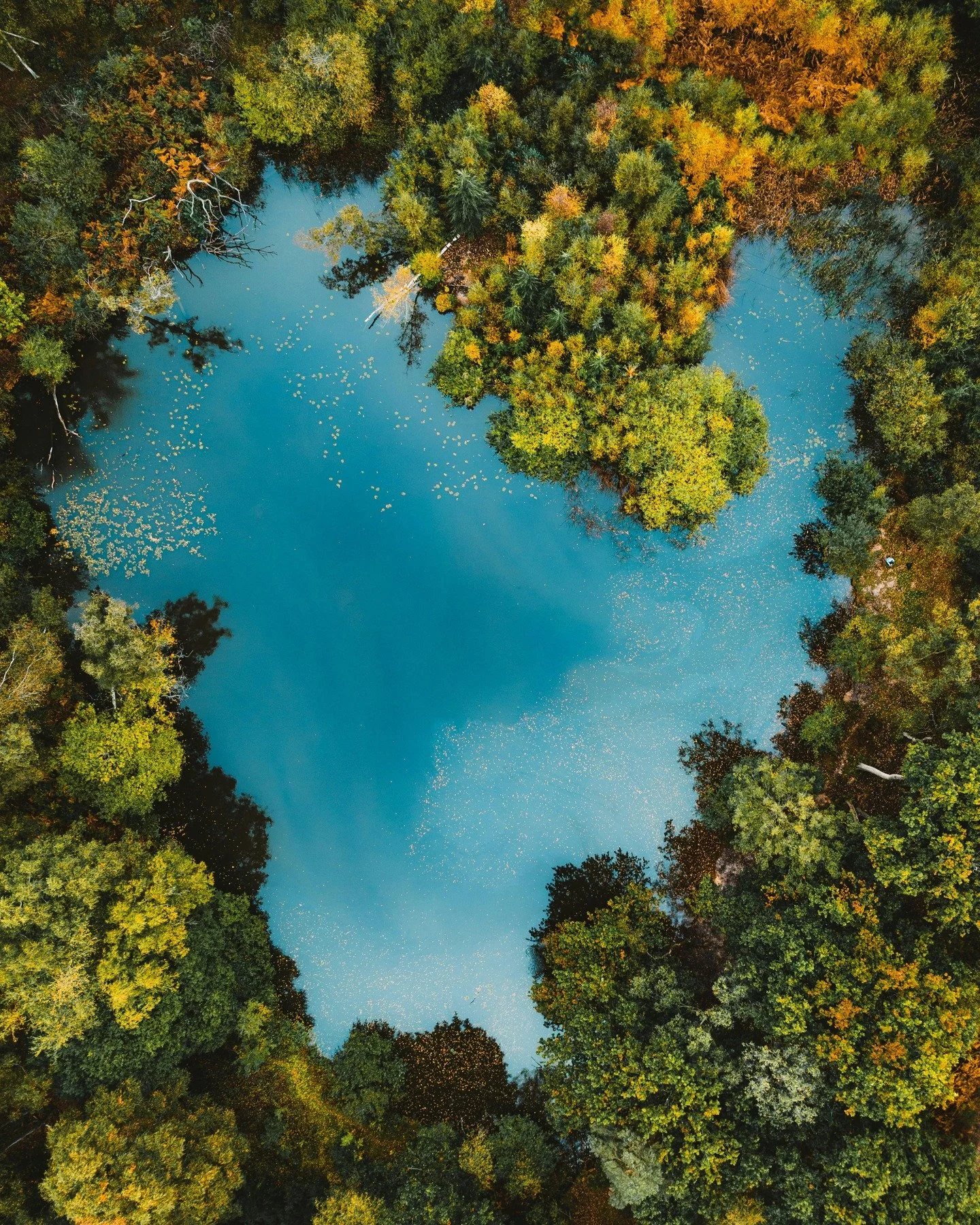 February is Heart Health Month ❤️

Your heart beats about 100,000 times a day.
It deserves more than just attention when something feels wrong.

Simple ways to support your heart naturally:

🥬 Eat leafy greens and fiber-rich foods

🐟 Include health