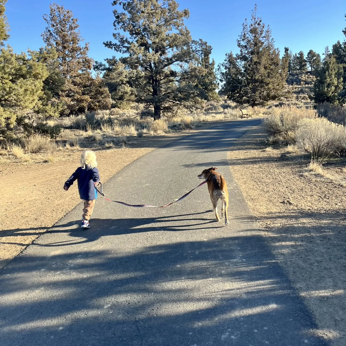 Is it just us, or is it way too warm for this time of year ☀️

Abnormally warm days can throw your body balance off. Think allergies, headaches, fatigue and sleep issues.
Support your system with hydration, gentle detox, and immune loving herbs.

You