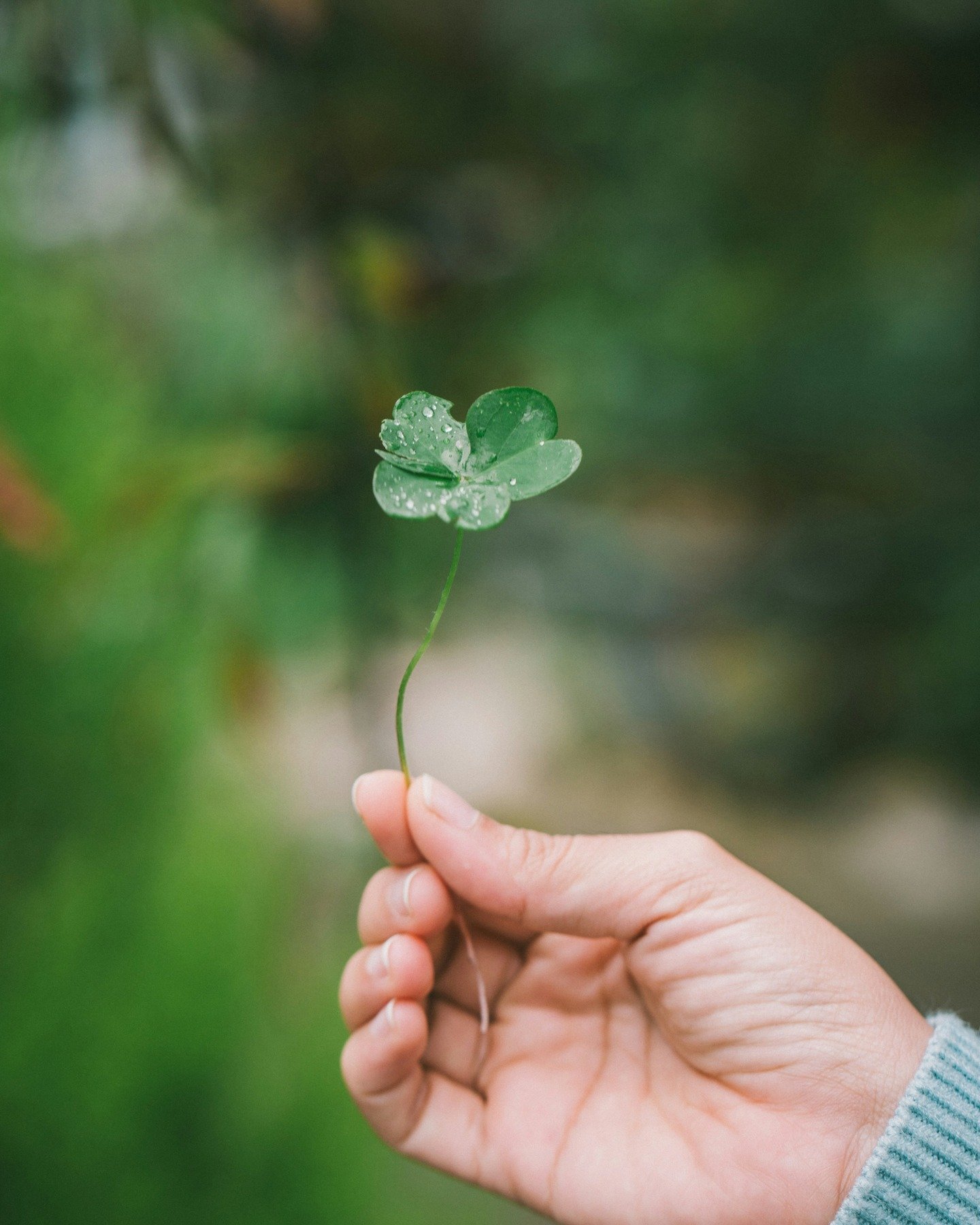 Feeling lucky this St. Patrick&rsquo;s Day? 🍀

While we love a little Irish luck, your health is built on what you do every day, not just chance.

At Terrain Natural Medicine, we like to think of &ldquo;luck&rdquo; as:

✨ Nourishing your body with w