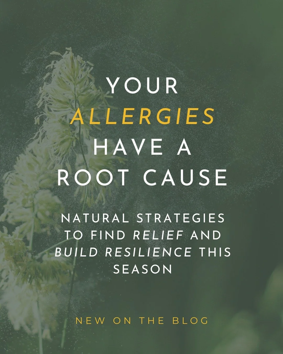 Hello from Terrain! 👋

Allergy season is rapidly approaching, with some already experiencing those pesky symptoms. The good news is that there are many ways to find relief and support, which we highlight in our new blog, &ldquo;Allergy Prevention &a