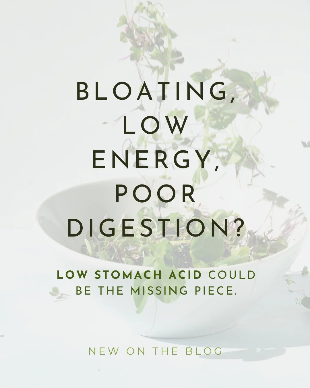 At Terrain Natural Medicine, we view digestive health as a cornerstone of overall health and well-being. It influences mood, energy, metabolism, and more, so it&rsquo;s always something we assess when looking for areas of imbalance.

One key aspect o
