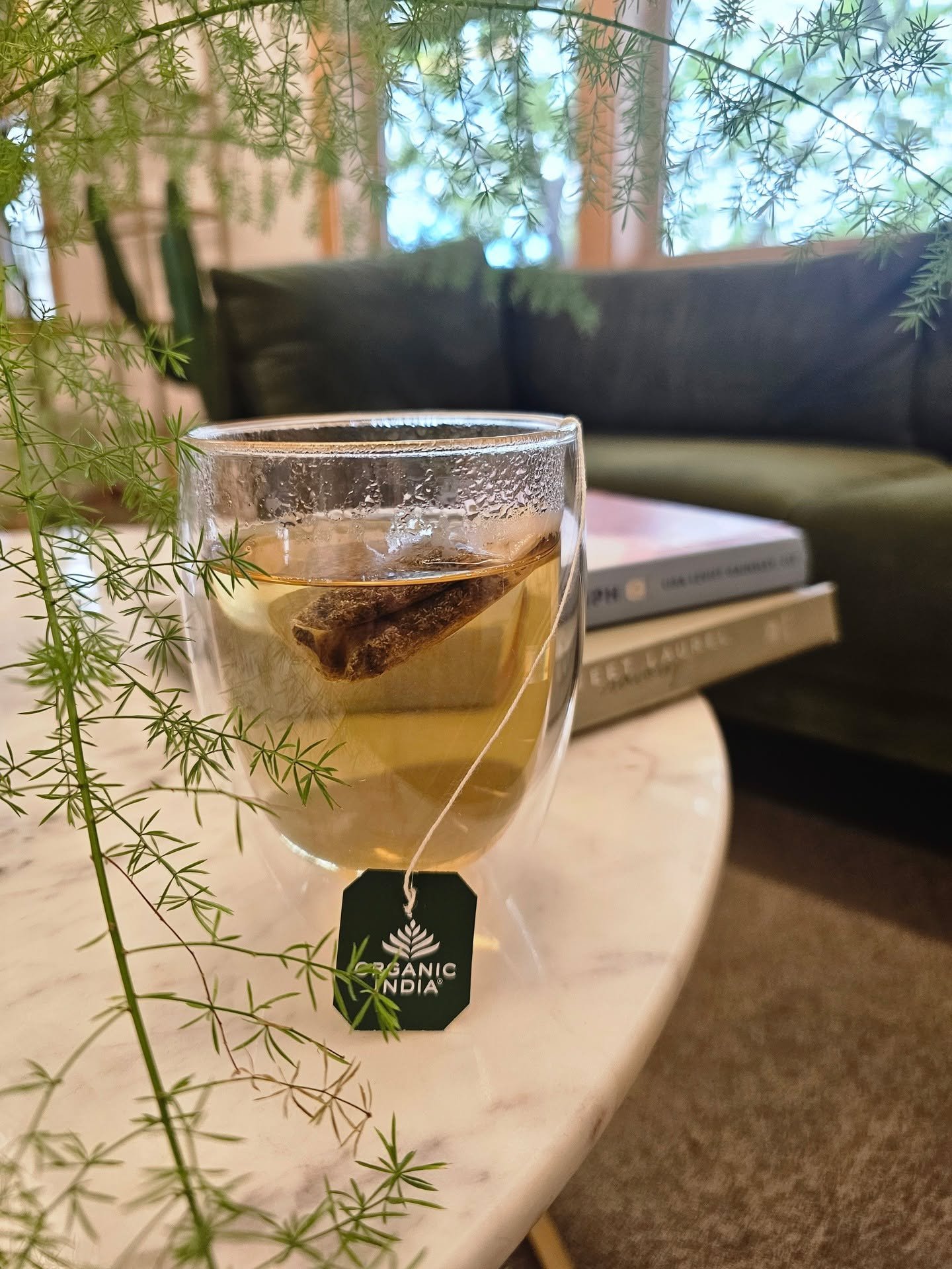 🍵 A cup of calm, waiting for you...

When you come in for your appointment, enjoy a complimentary cup of tulsi tea 🌿

Take a seat on our cozy green couch, sip slowly, and let your body begin to unwind.

Known for its calming and stress-supportive p