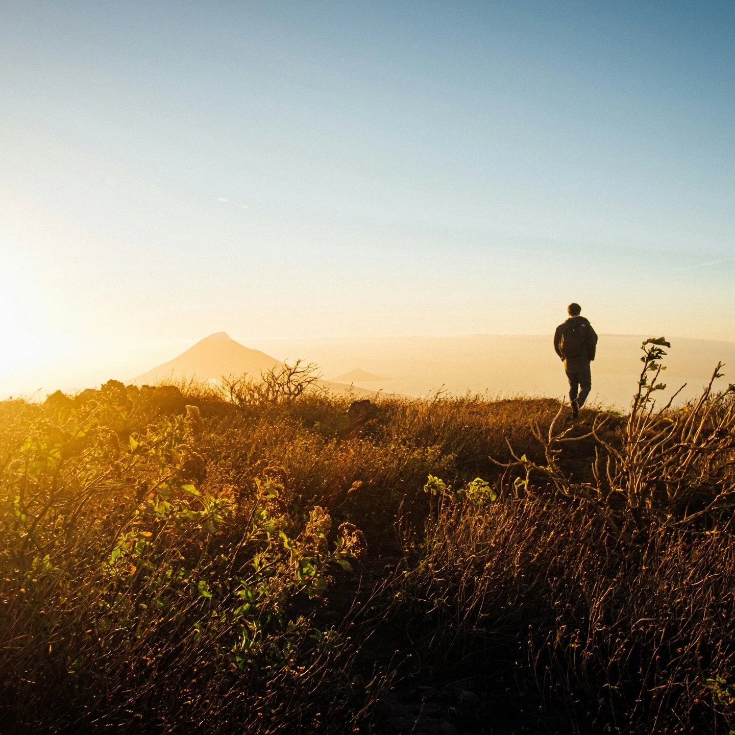 May 1st 🌿

A new month. A fresh reset.
Longer days, more light, and a reminder that healing doesn&rsquo;t have to be rushed.

In naturopathic medicine, we work with the seasons, not against them. Spring is a time to gently clear, nourish, and suppor