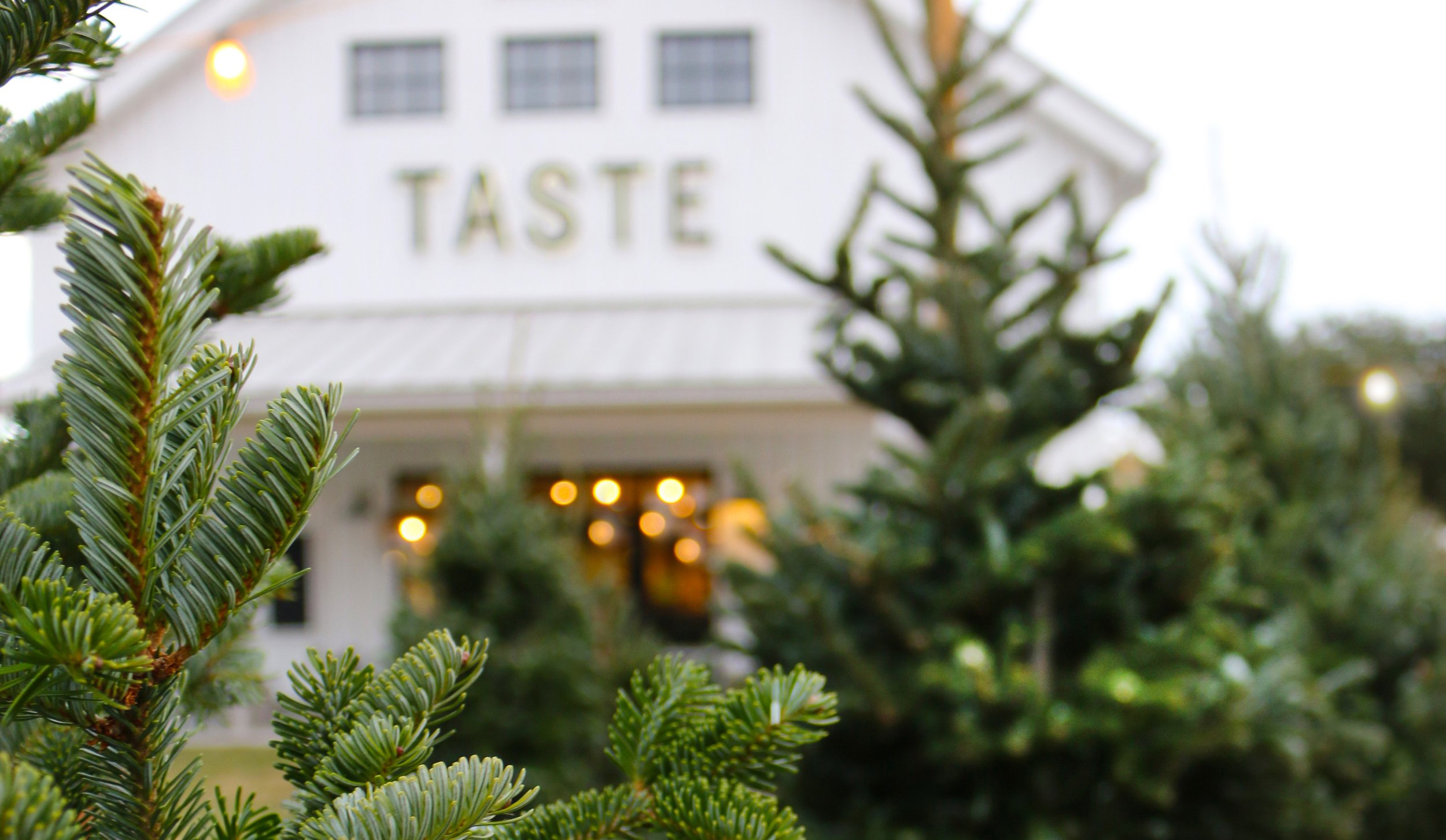 bayville-christmas-portrait rotator.jpg