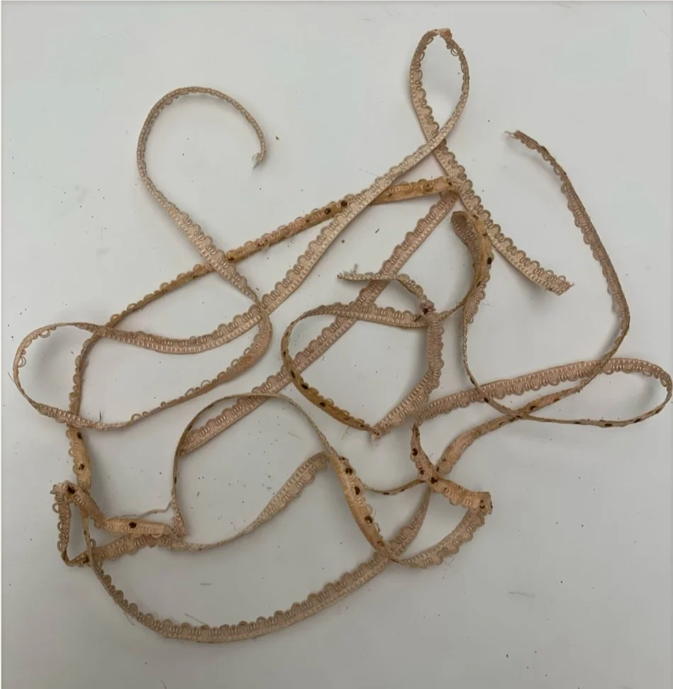 IMG_2011.jpg