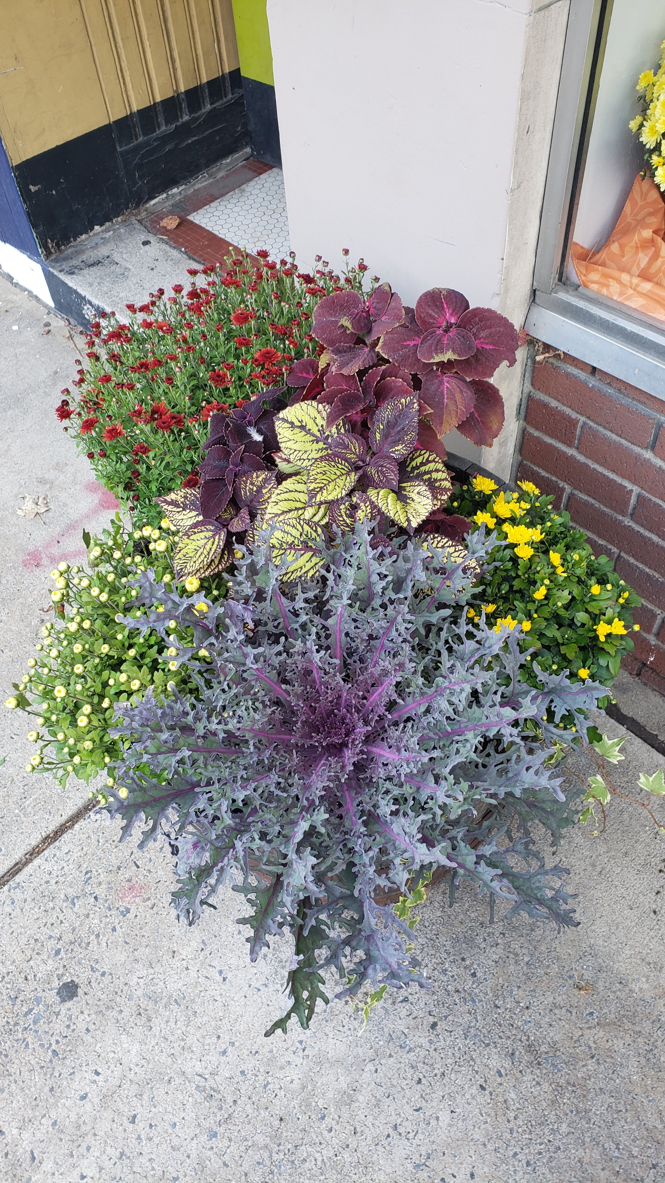 20201003_151135.jpg