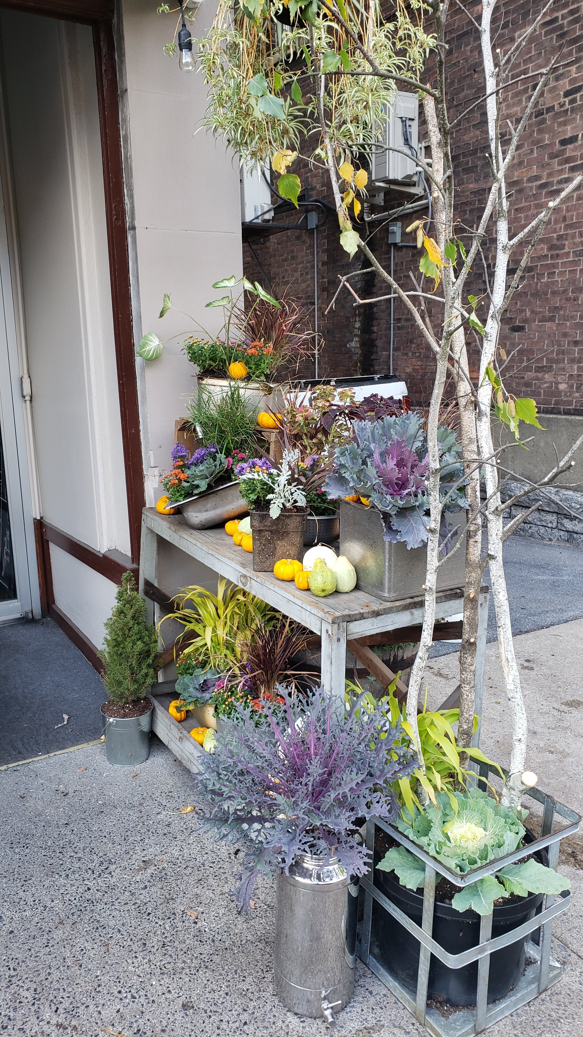 20201003_151106.jpg