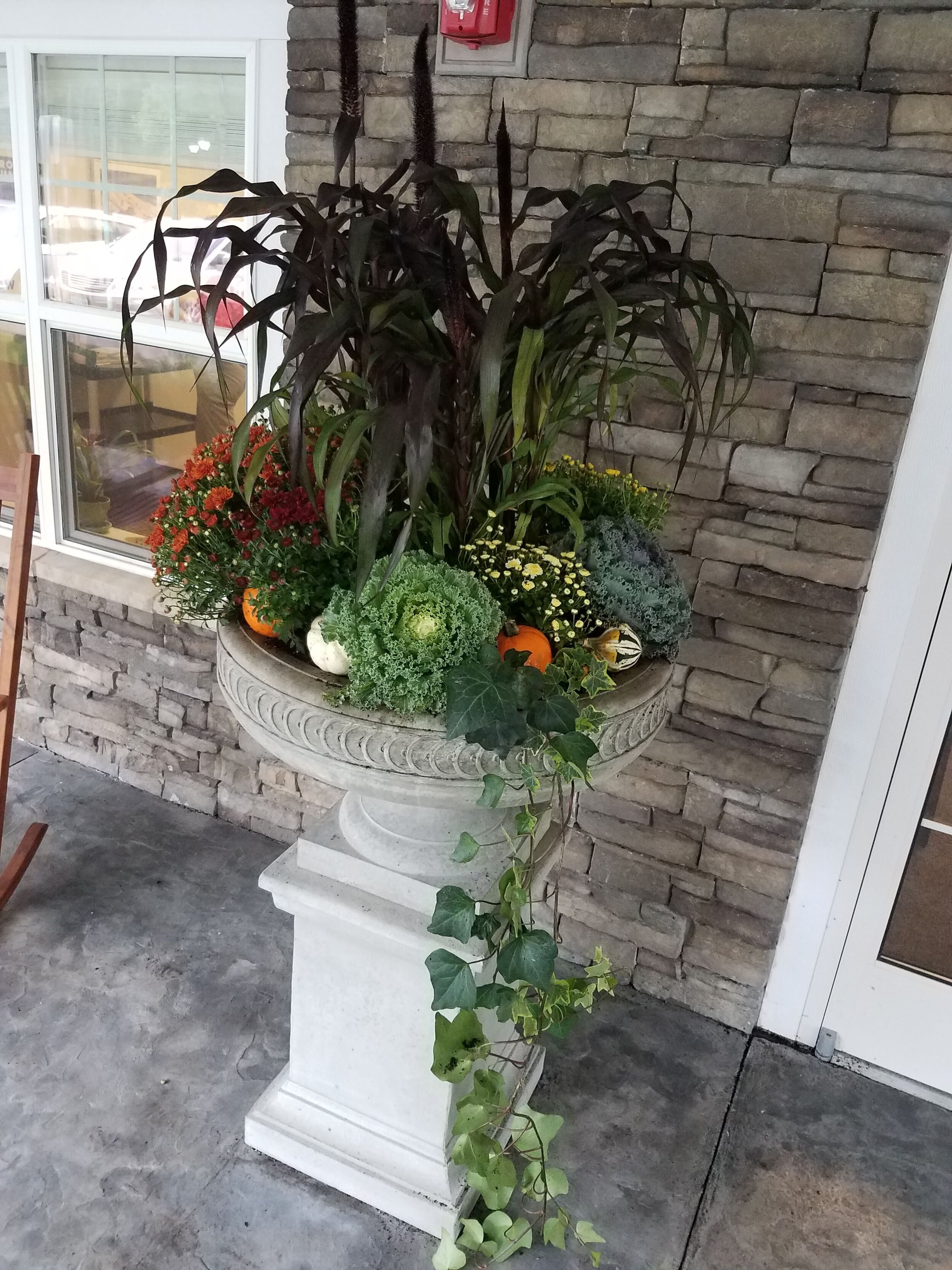 20181002_103908.jpg