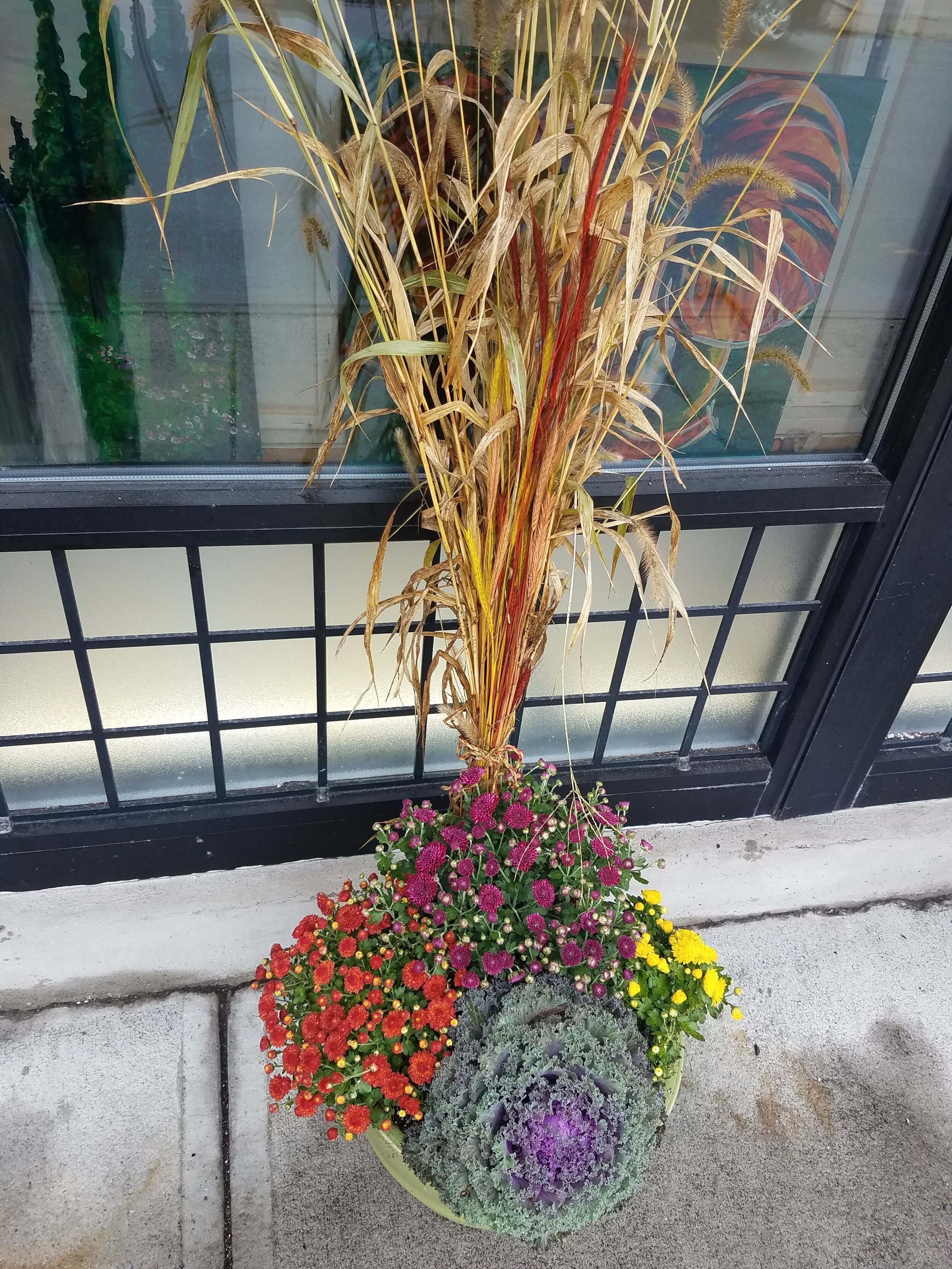 20181003_111851.jpg