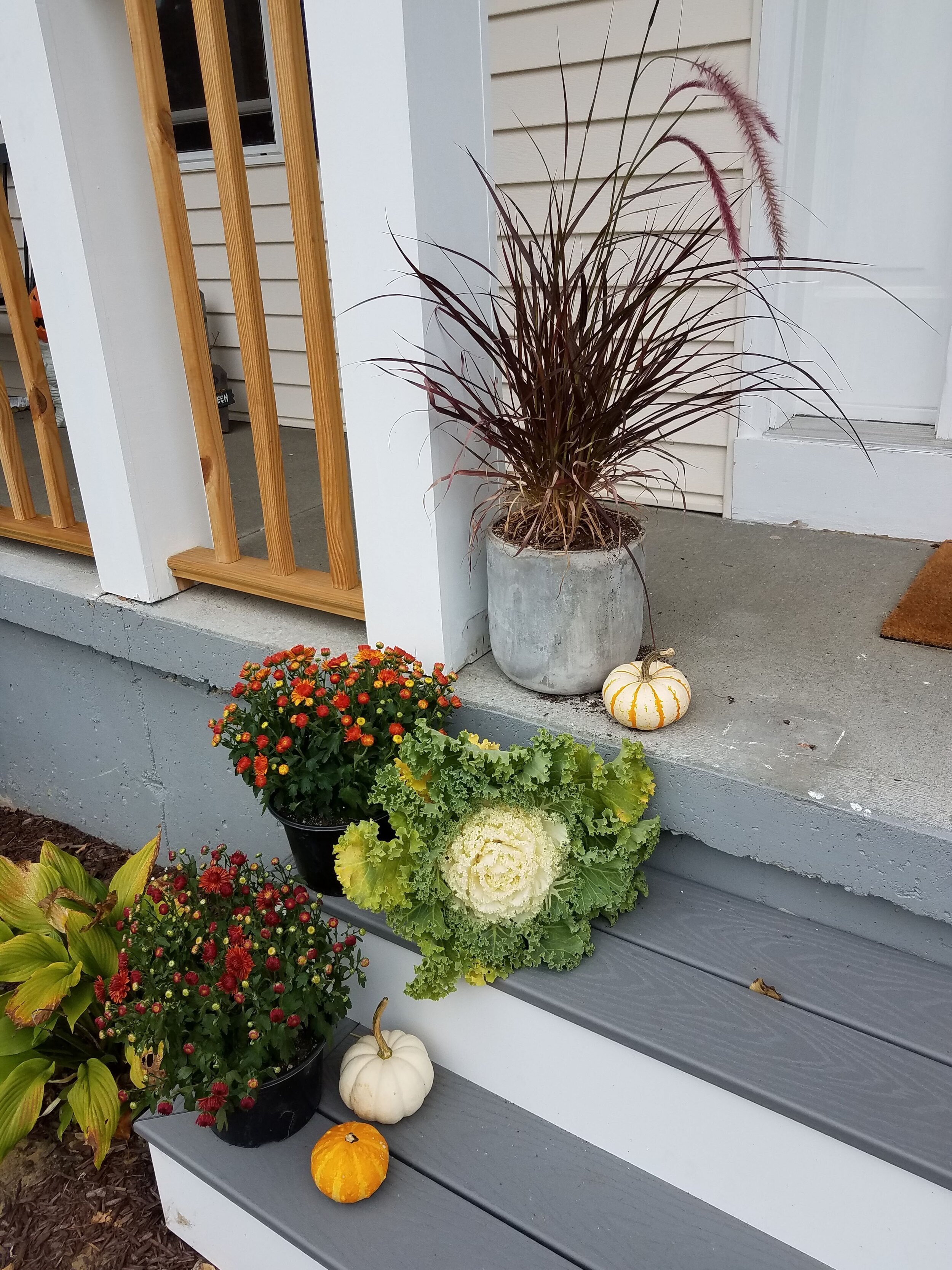 20190930_165437.jpg