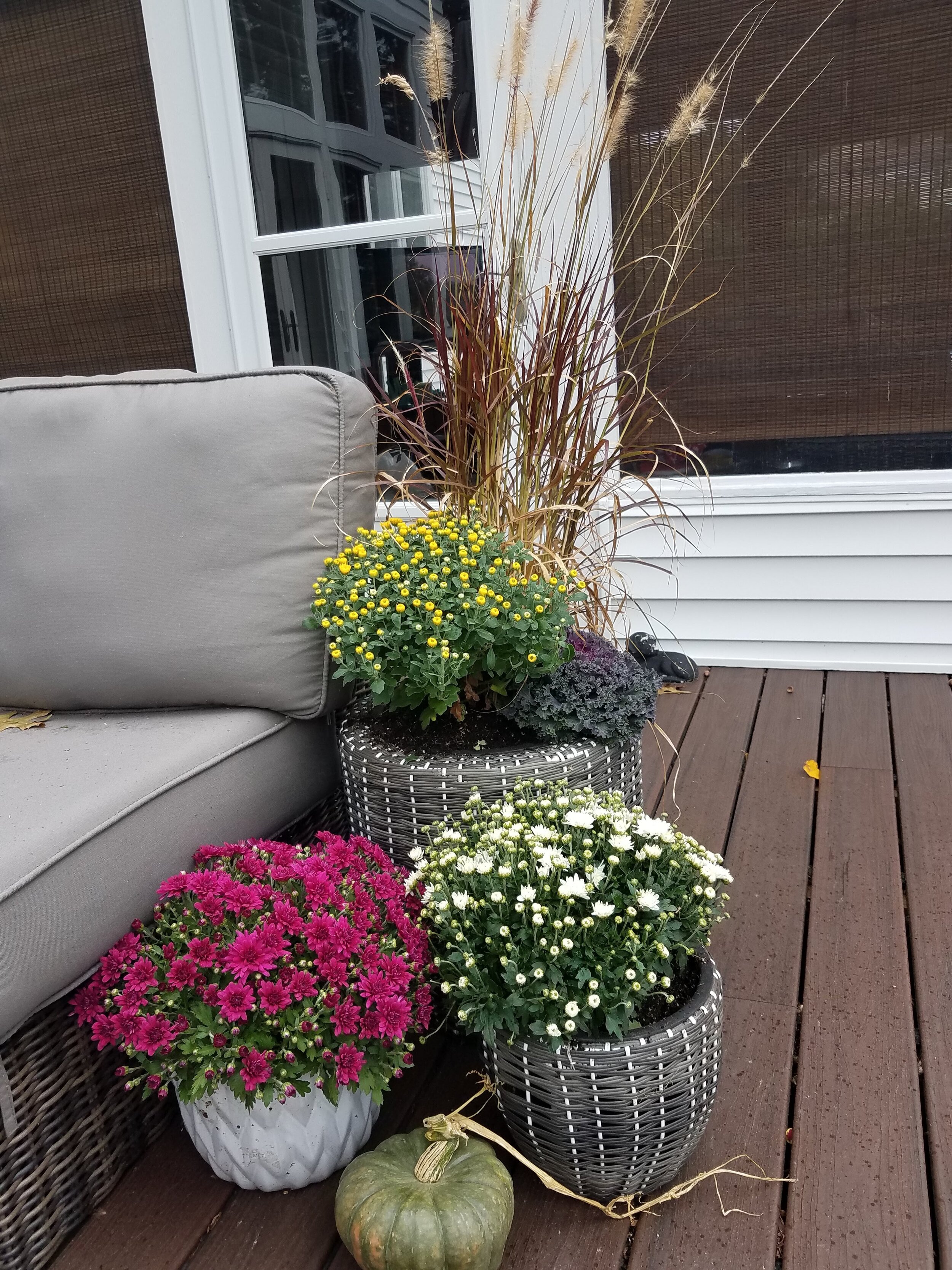 20191003_154522.jpg