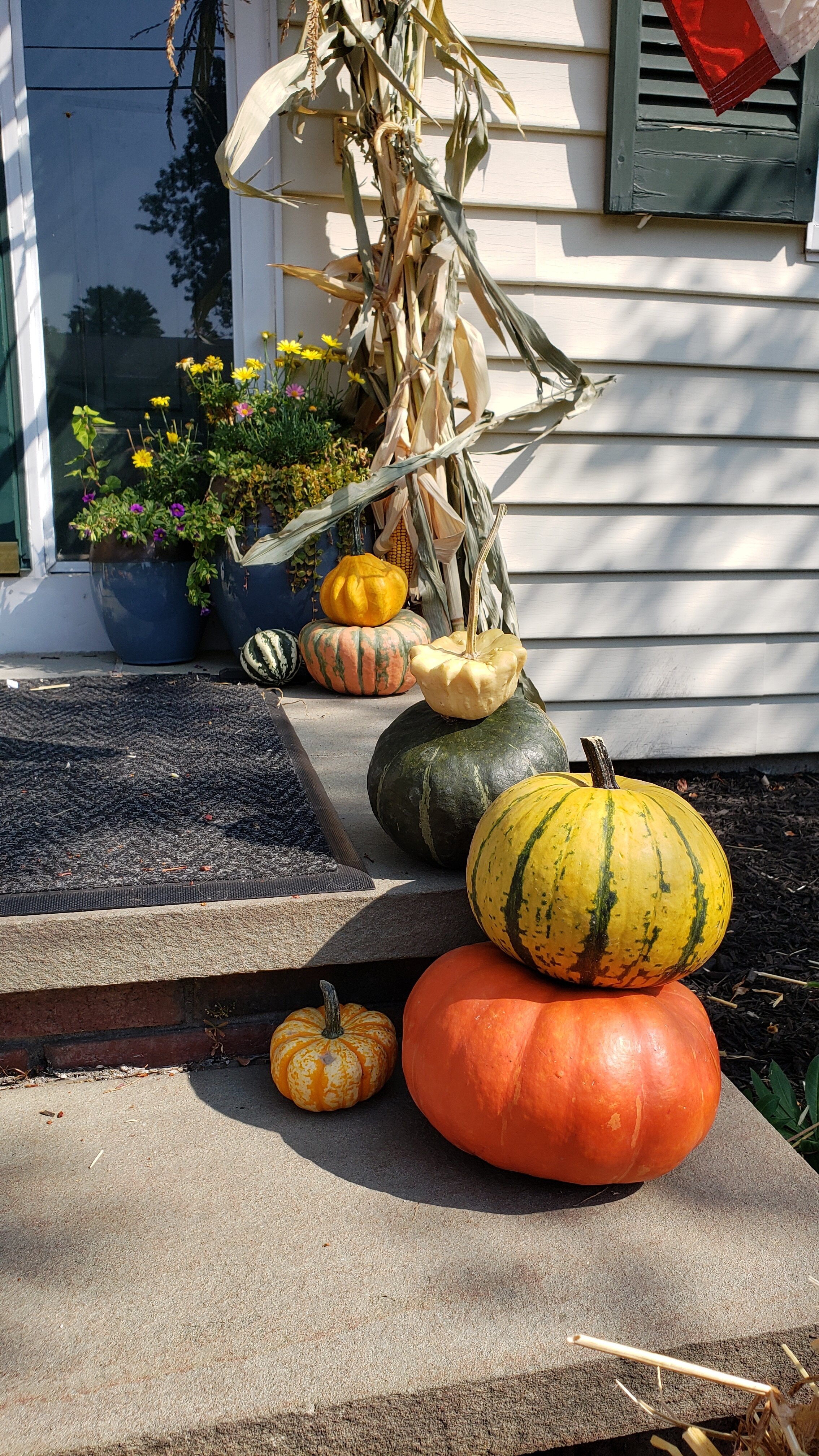 20200925_135255.jpg