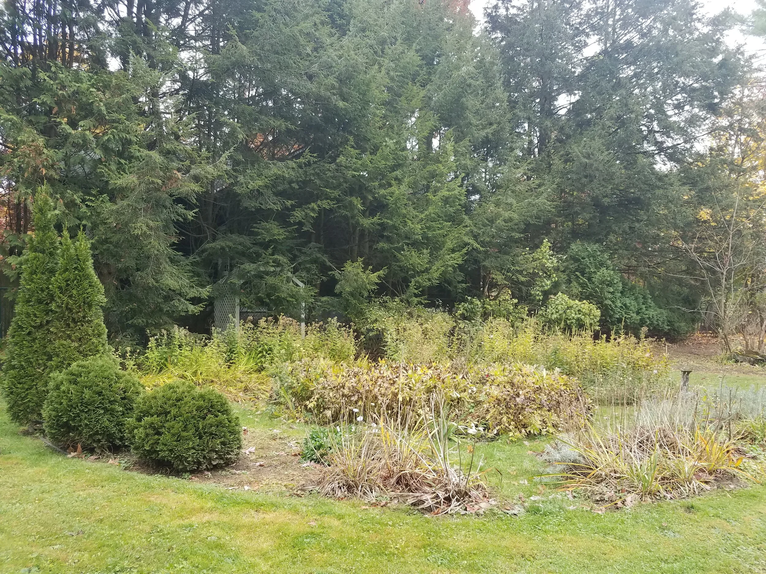 20191022_101513.jpg