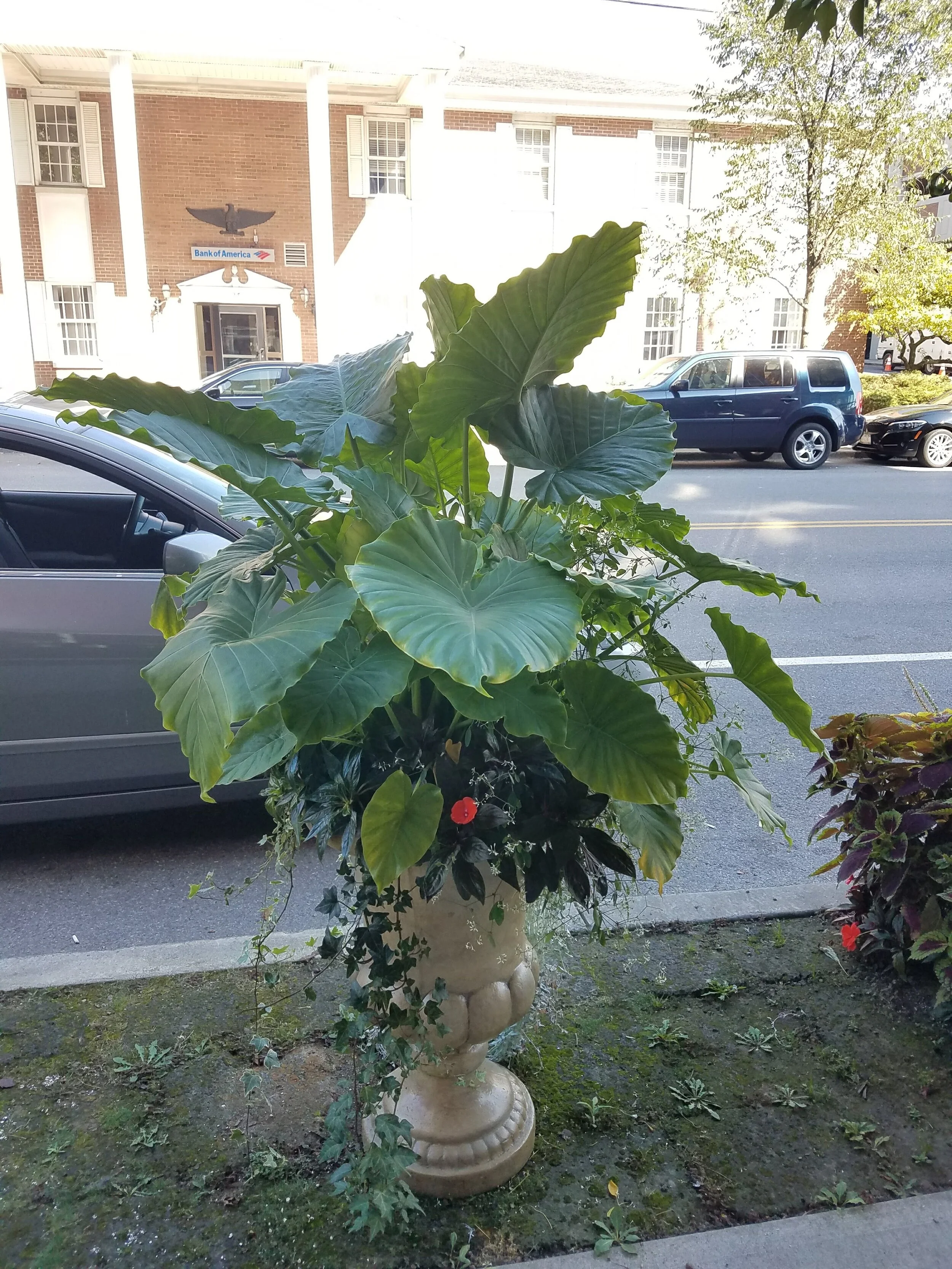 20170927_114140.jpg