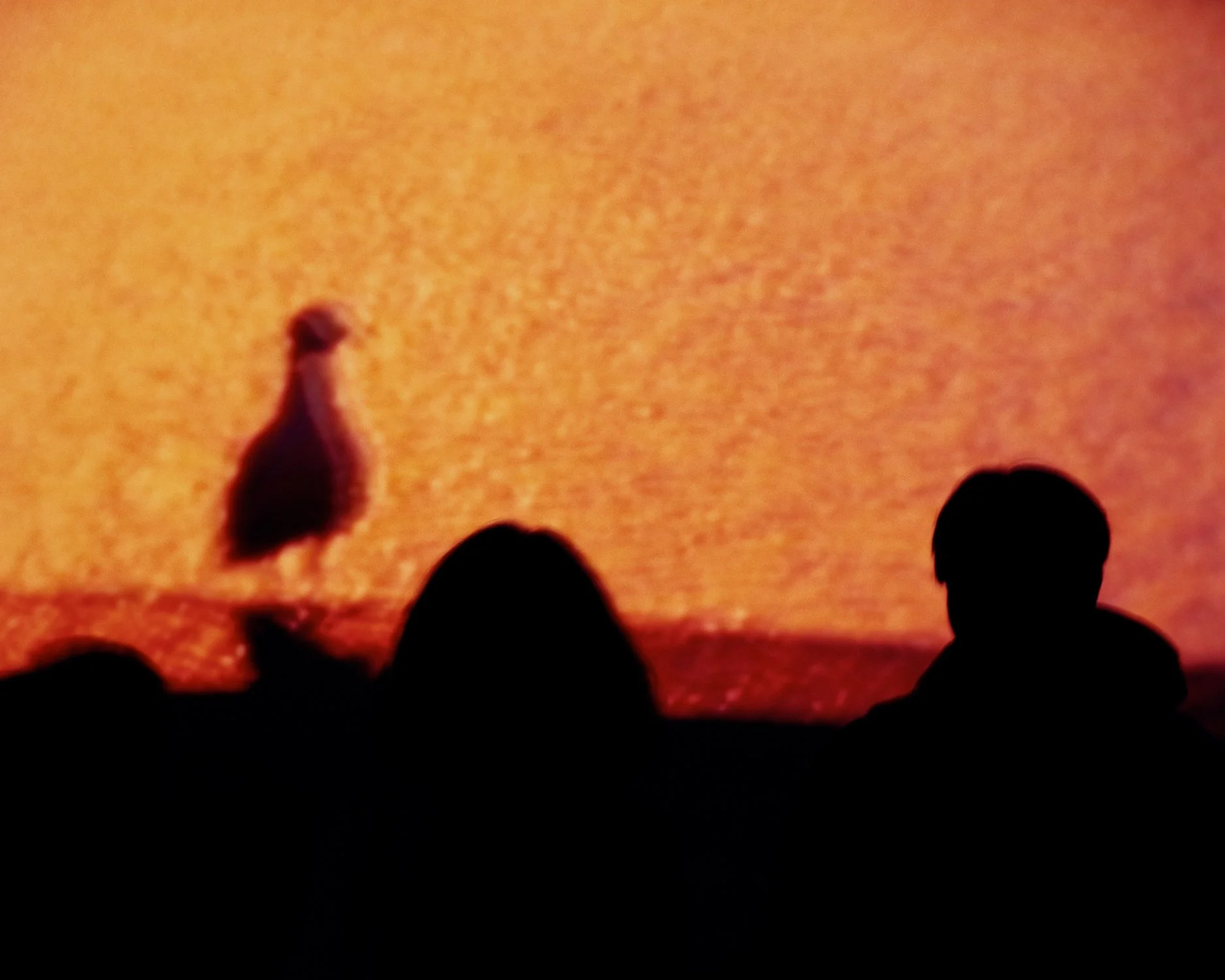 Tracey Emin_Craig Benson-27.jpg