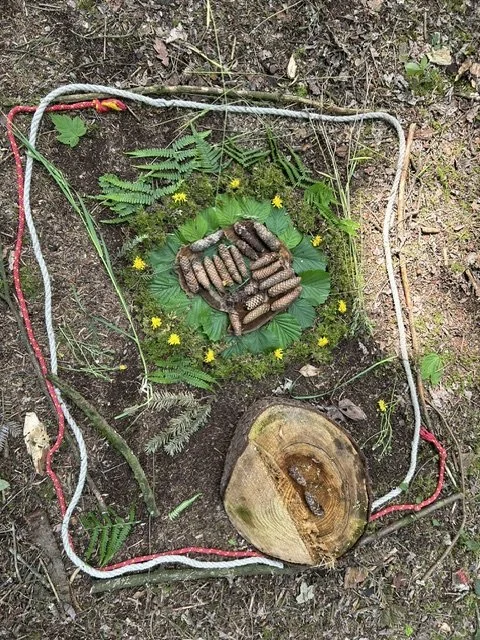 Foto Wald.jpeg