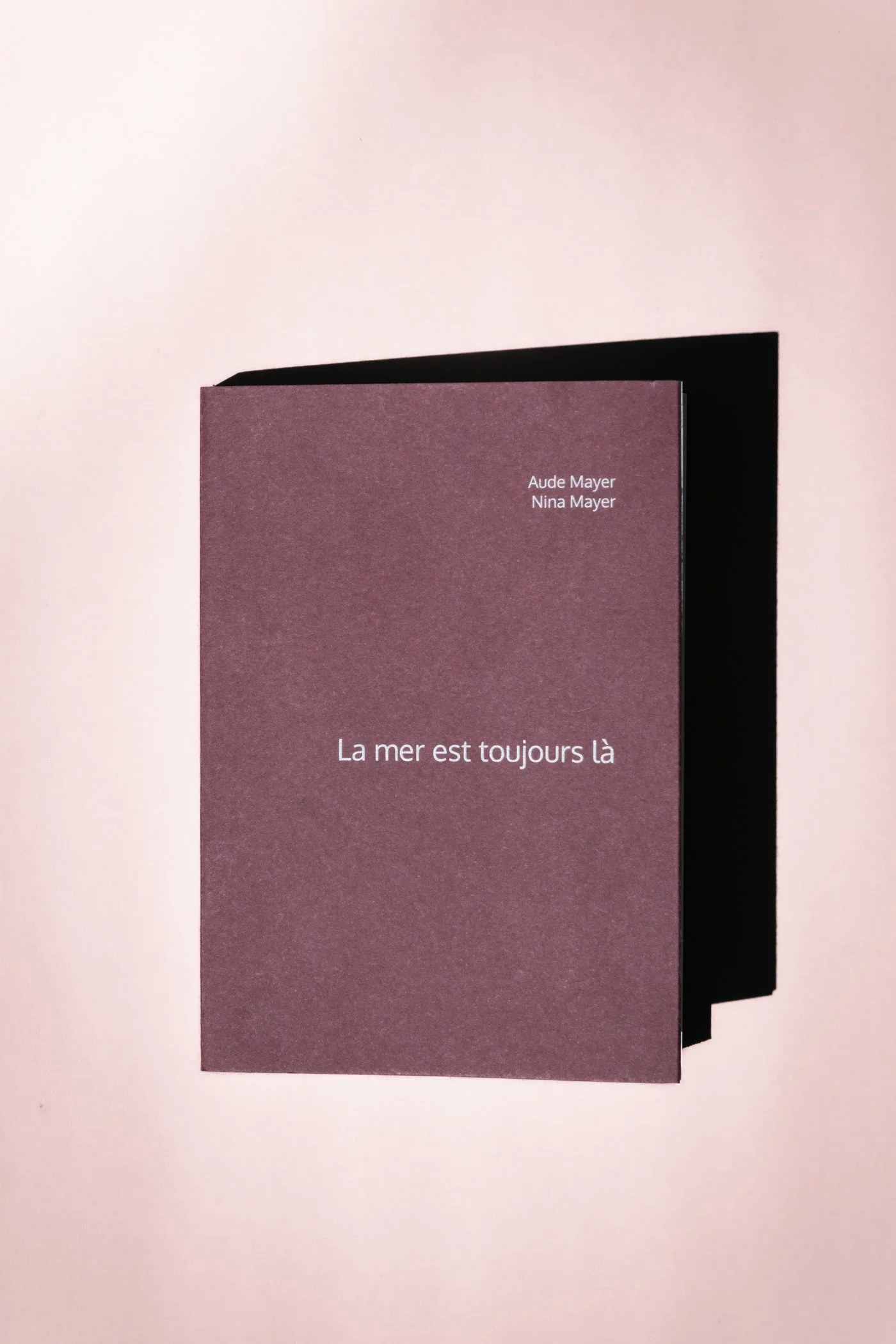 LAMETULA_Cover.jpg