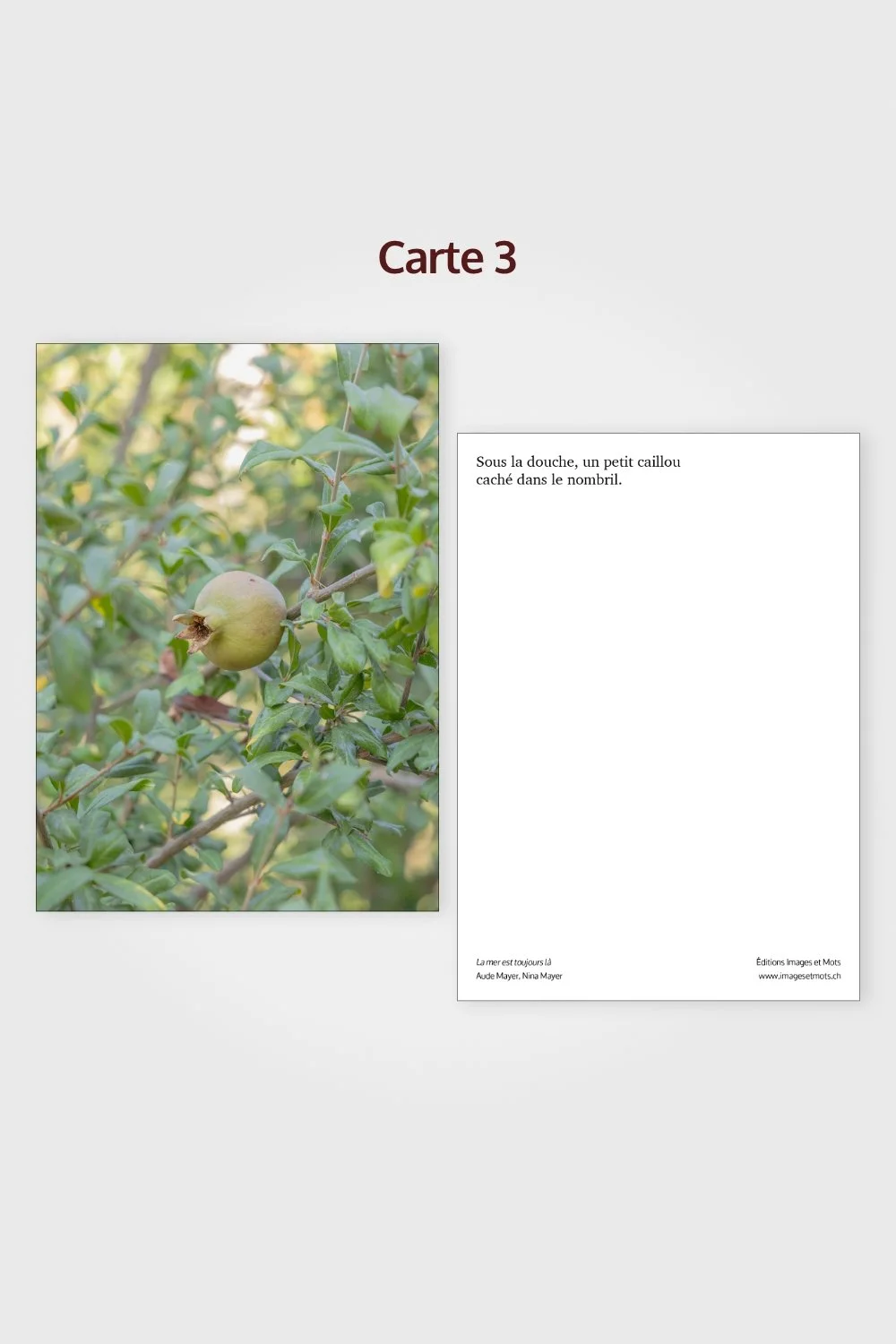 LAMETULA_Cartes-3.jpg