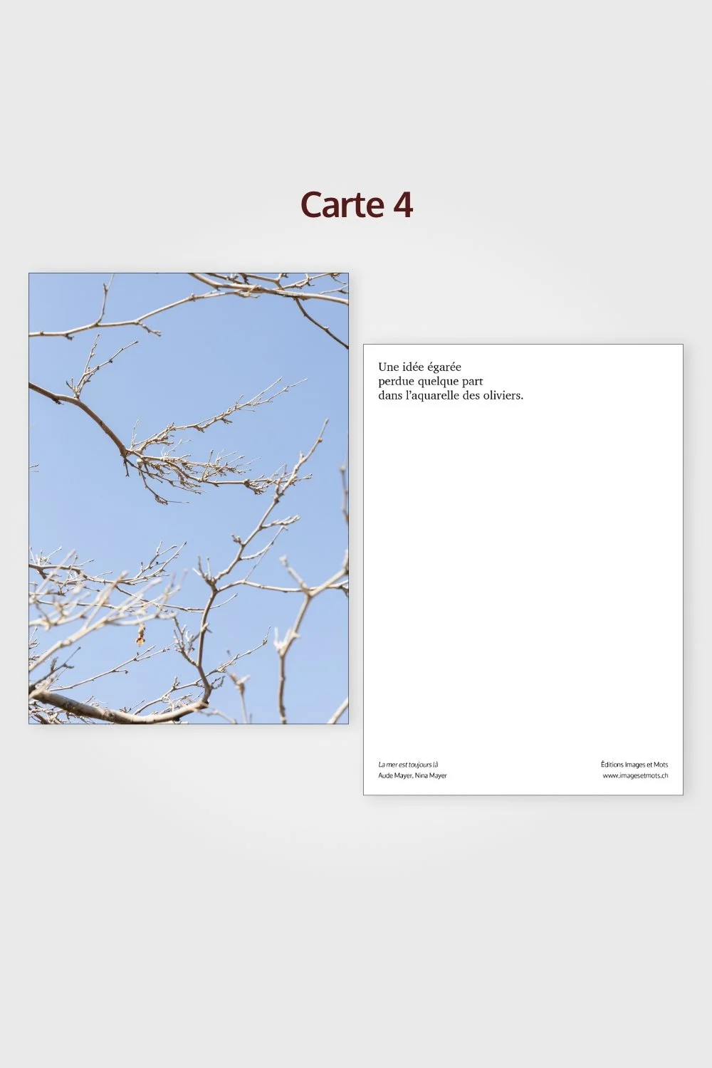 LAMETULA_Cartes-4.jpg