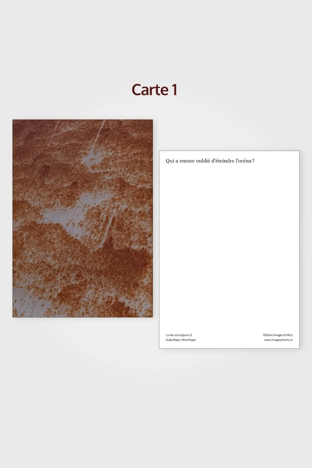 LAMETULA_Cartes-1.jpg