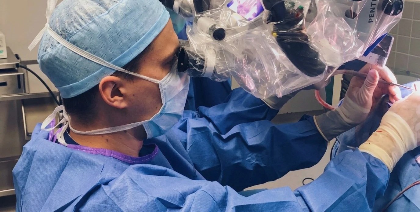 Dr. Lavrysen aan de operatiemicroscoop