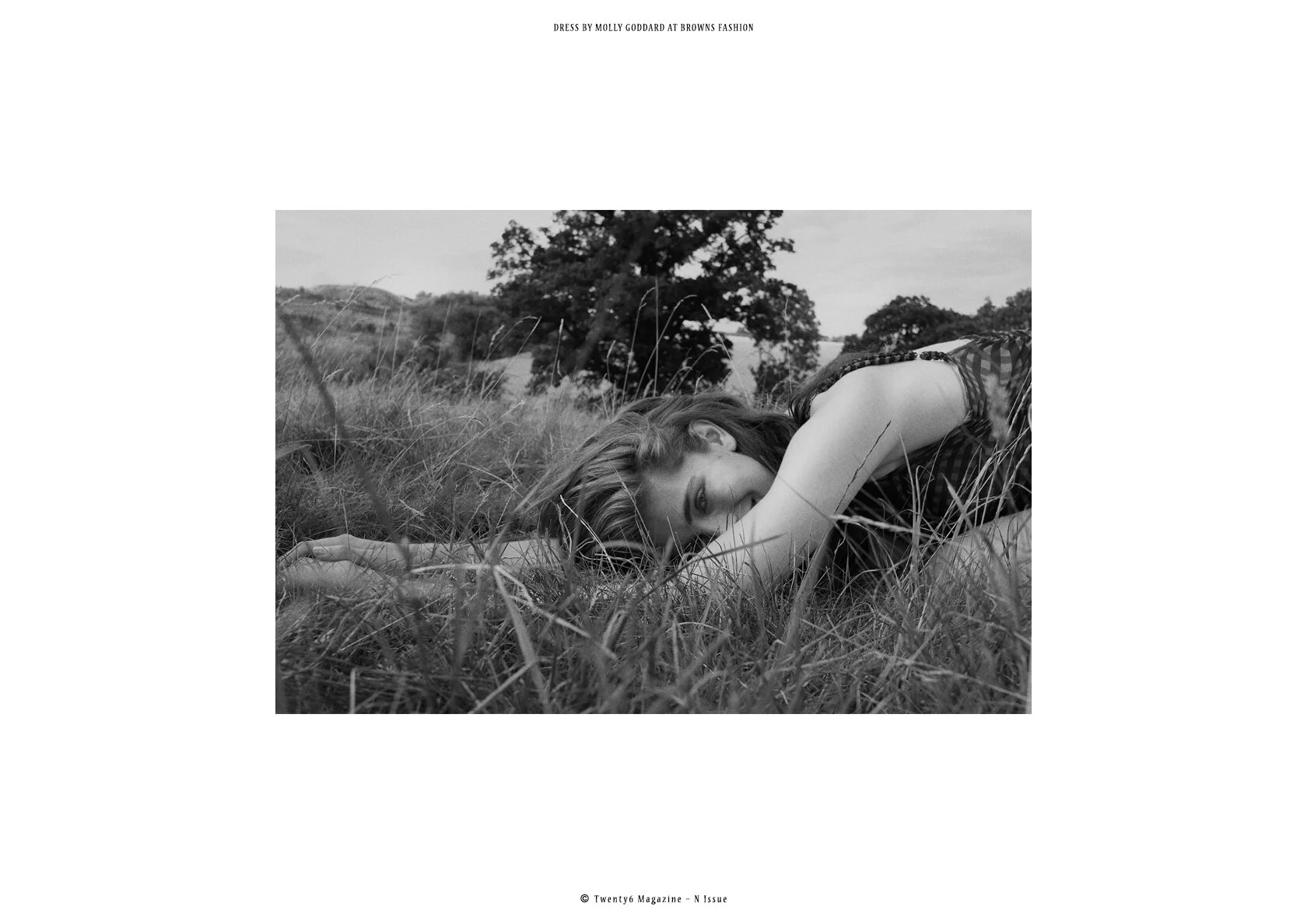 wild at heart3.jpg