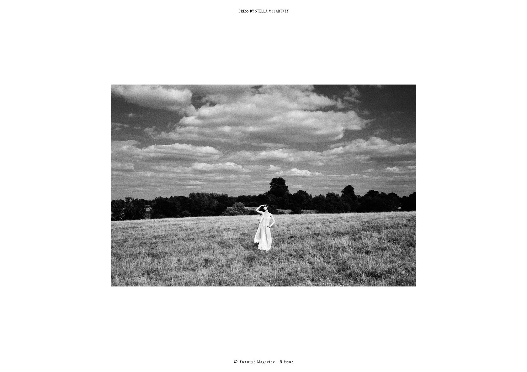 wild at heart7.jpg