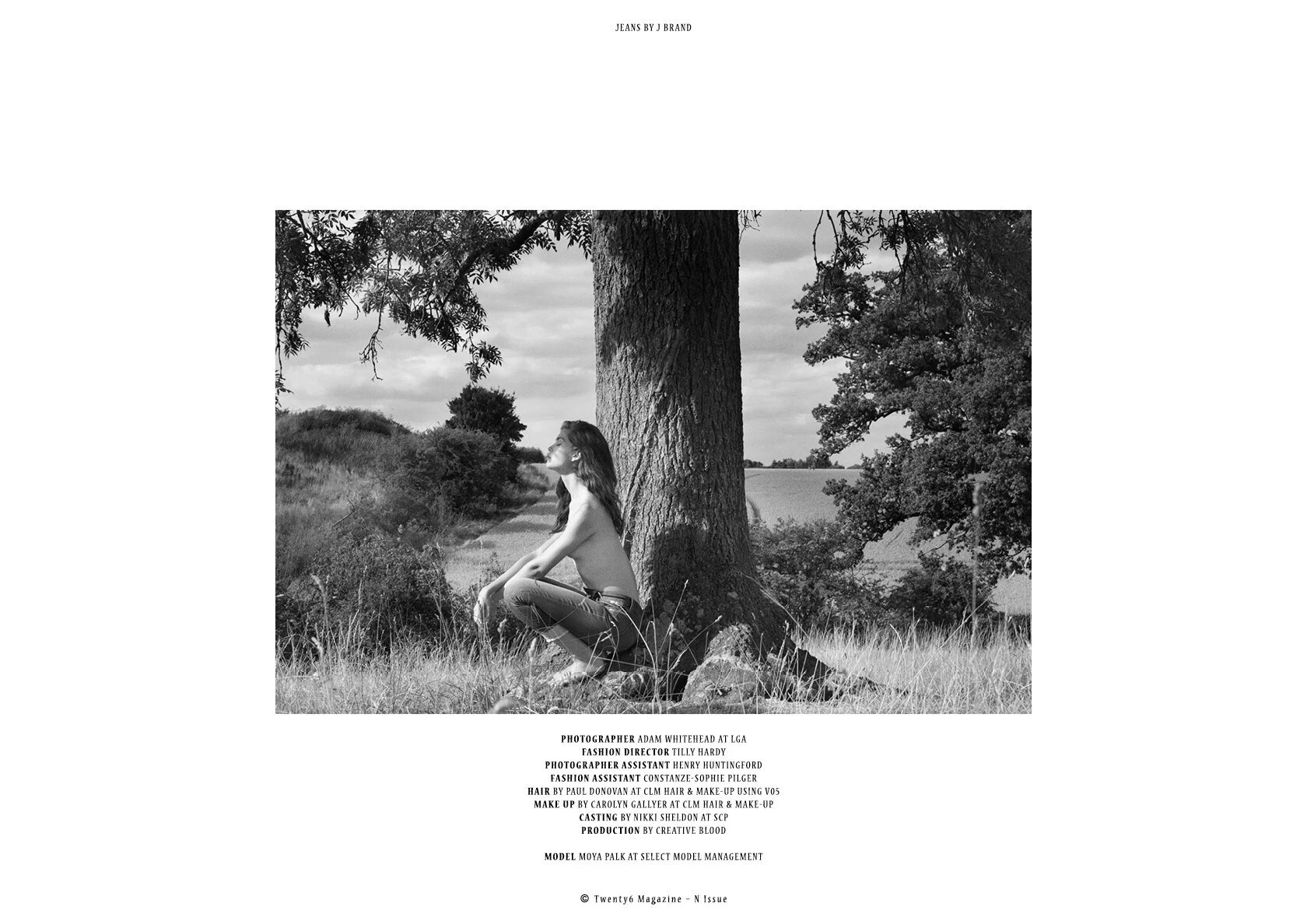 wild at heart11.jpg