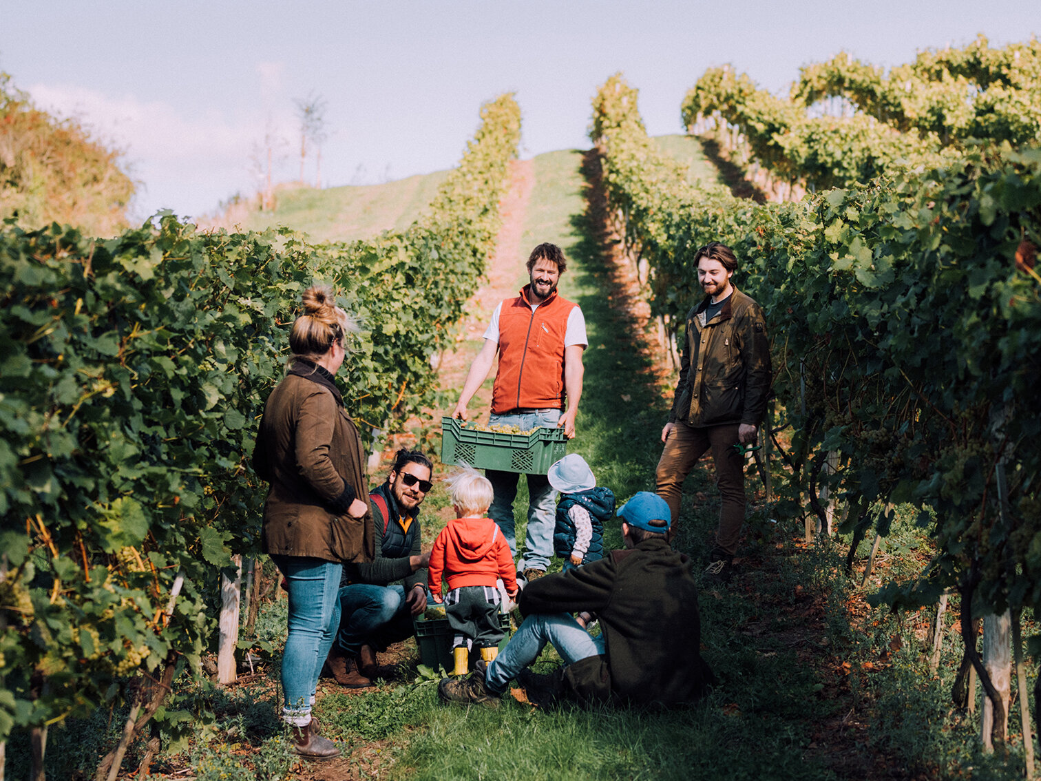 Castlwood Grape Picking-31.jpg