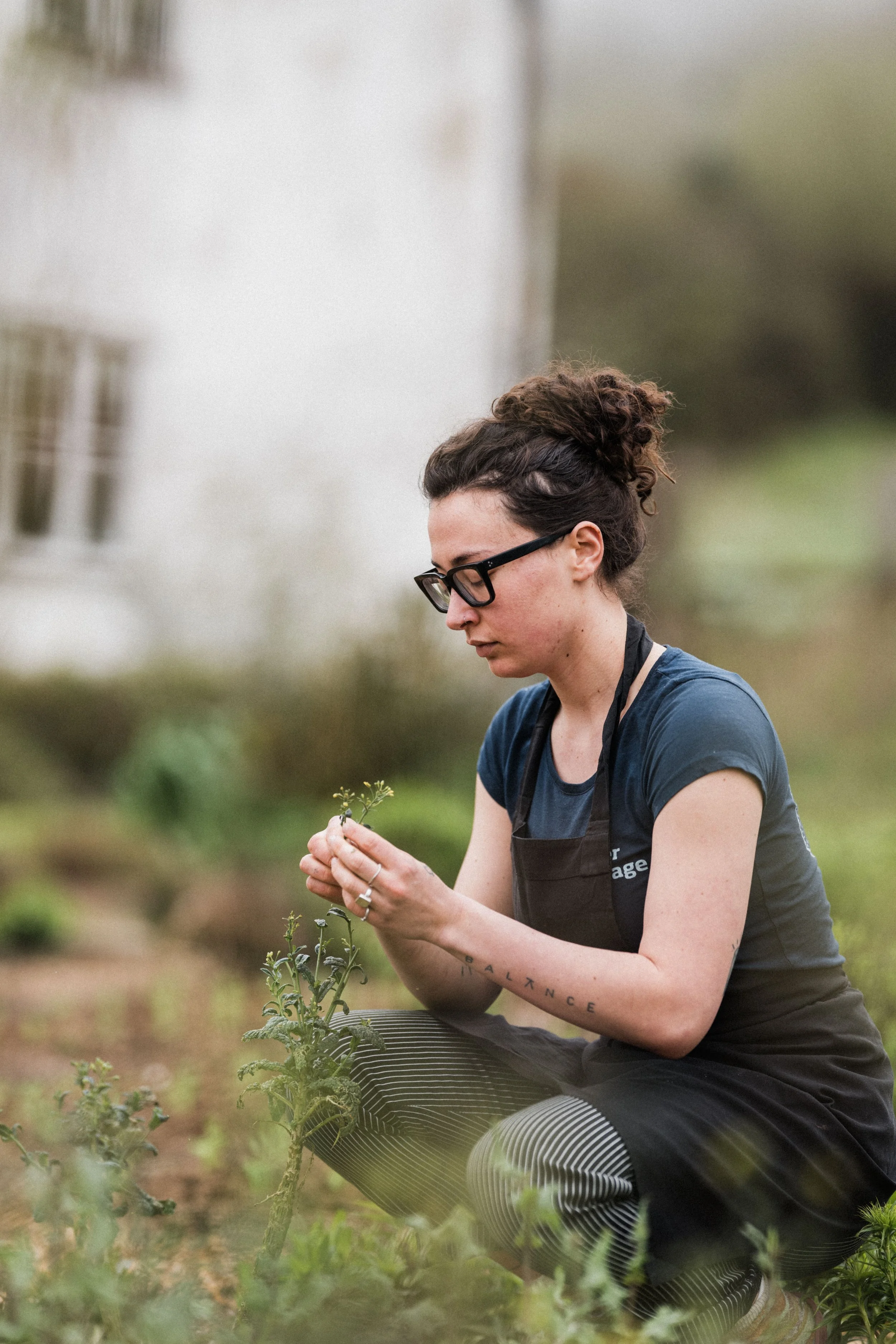 RiverCottage11-04-24MattAustin-56 (1) (1).jpg